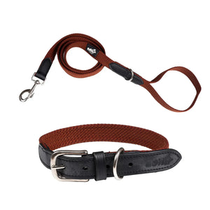 When Should You Use a Waterproof Dog Leash and Collar?