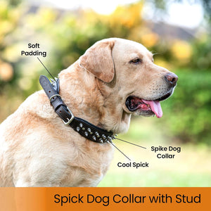 Why Adjustable Spiked Dog Collar Is a Must-Have for Stylish & Secure Pets