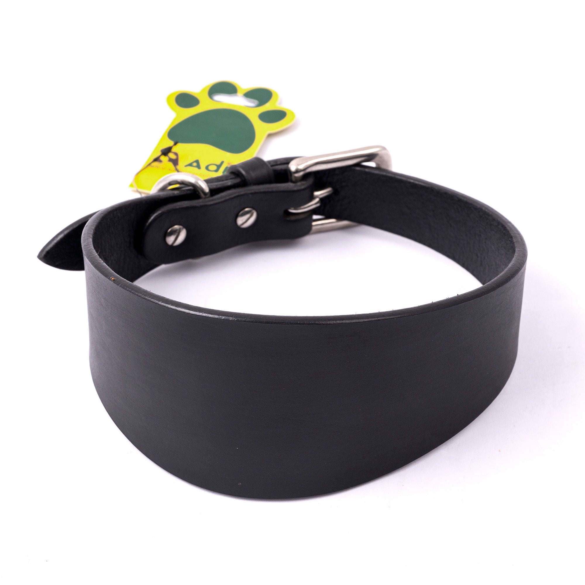 Adil's Leather Dog Collar for Greyhound, Saluki, and Whippet Dogs