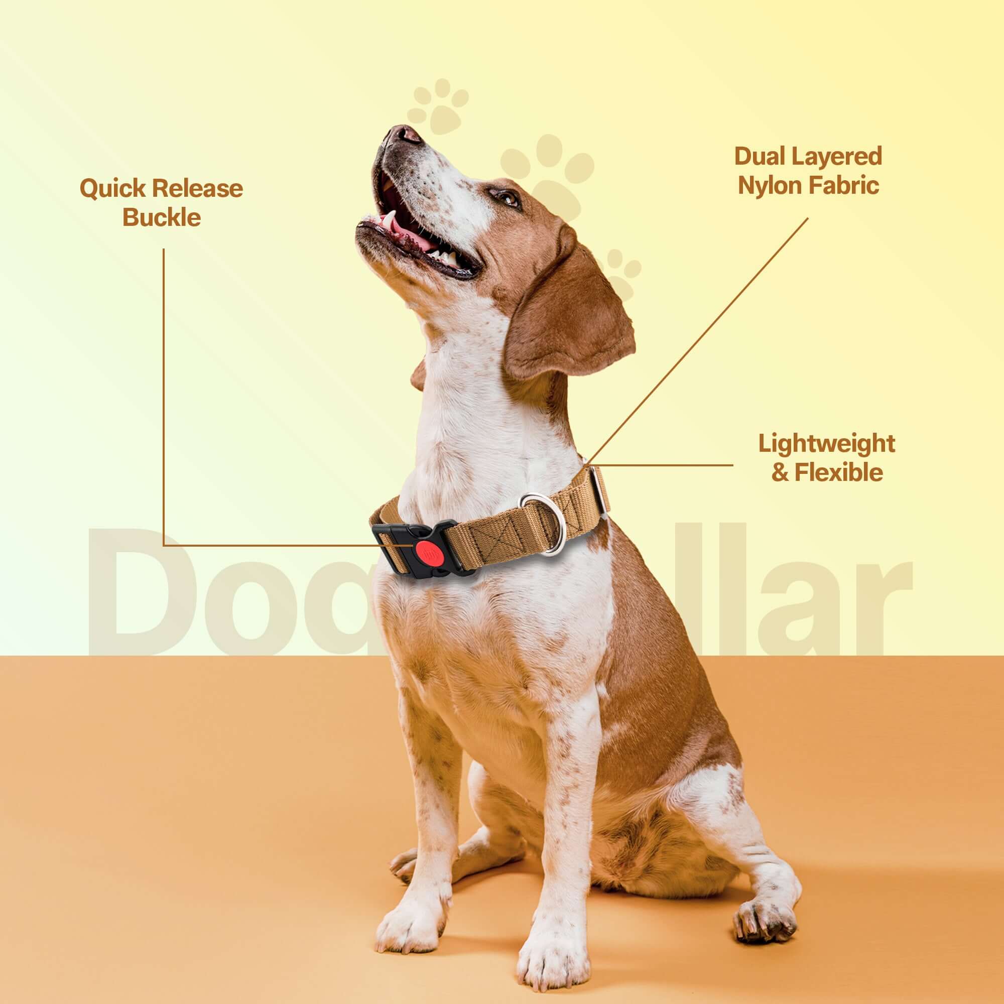 Adil's Nylon Quick Release Dog Collar 25 mm