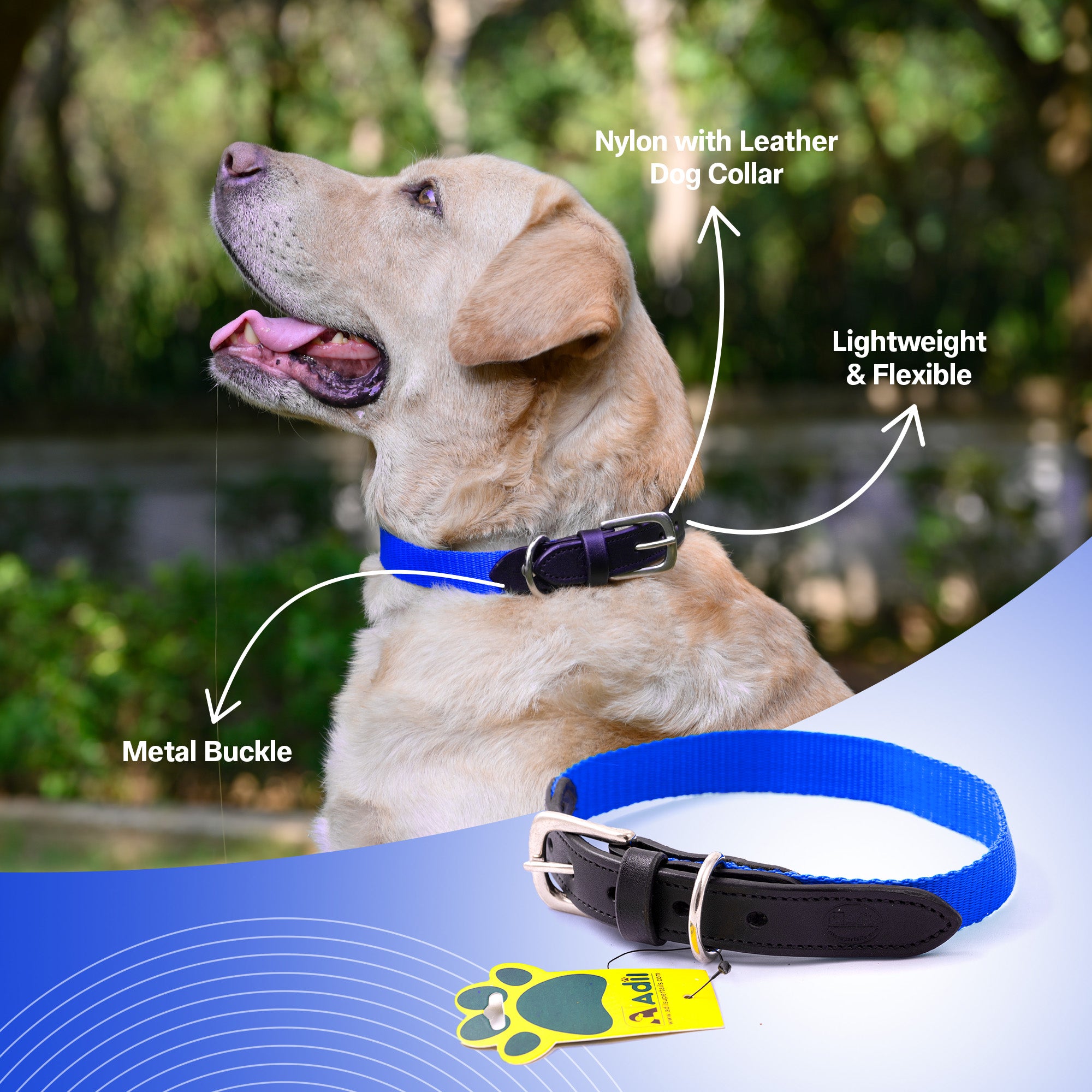 Nylon Dog Collar with Leather finish and Adjustable Metal Buckle