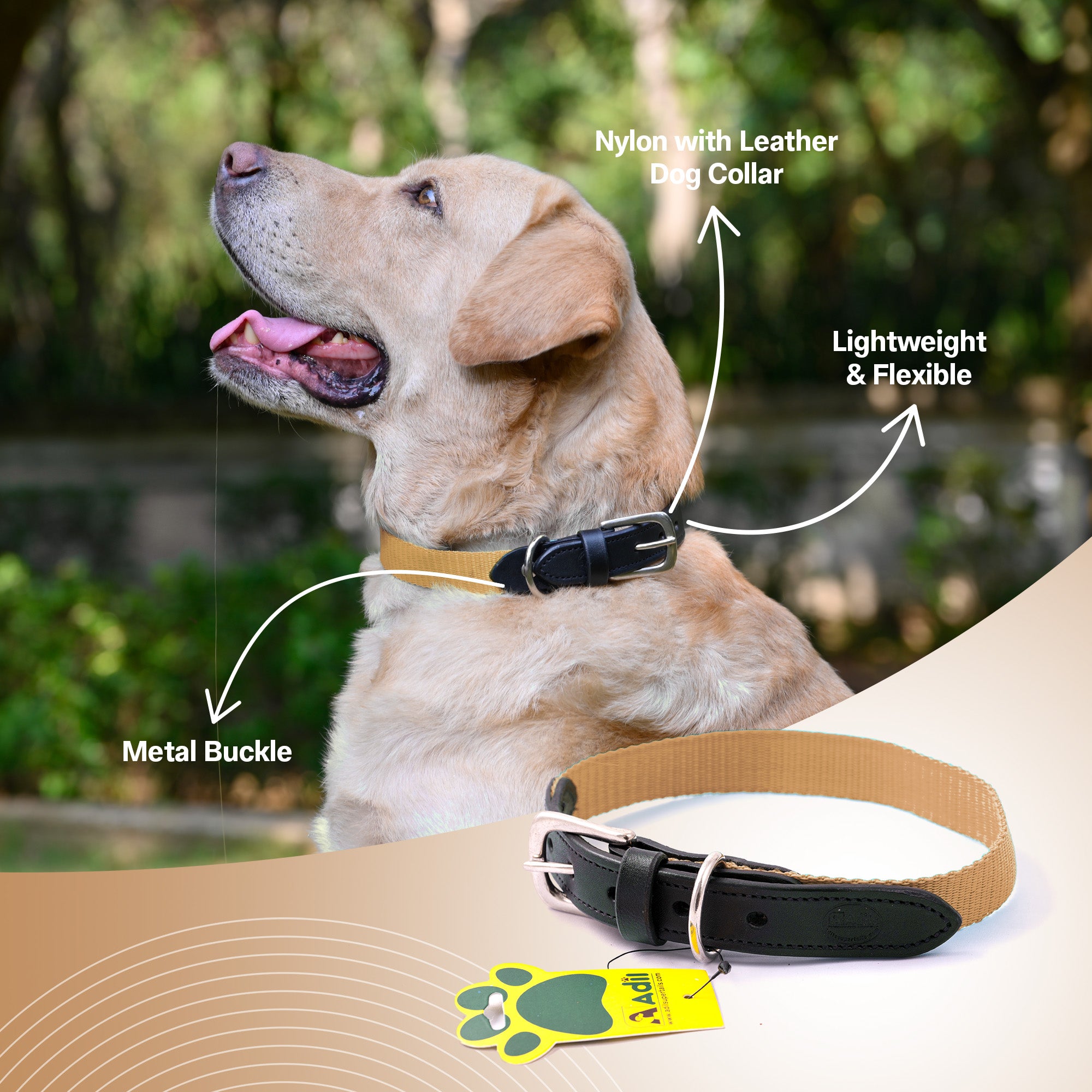 Nylon Dog Collar with Leather finish and Adjustable Metal Buckle