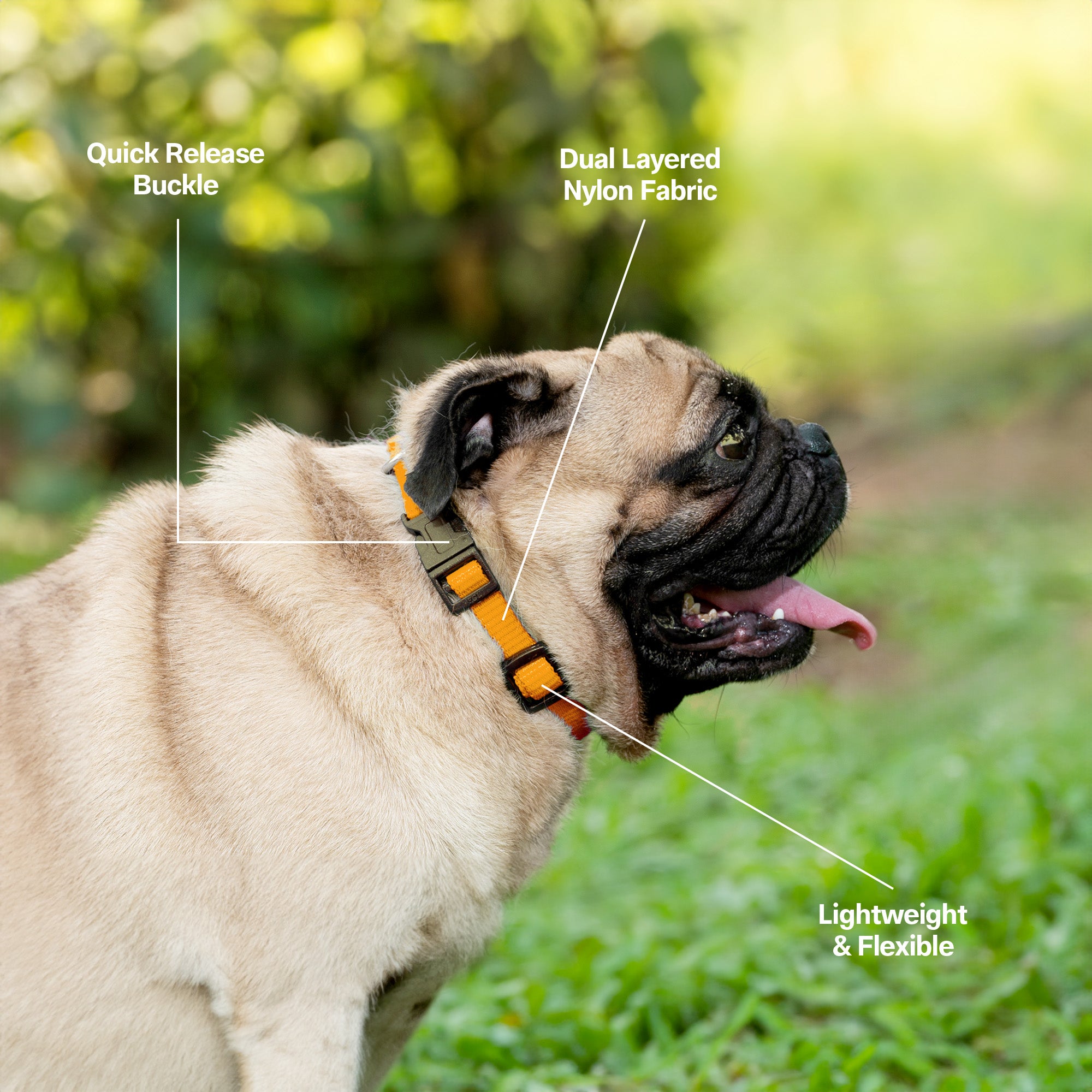 Adil's Nylon Quick Release Cat Collar 12 mm