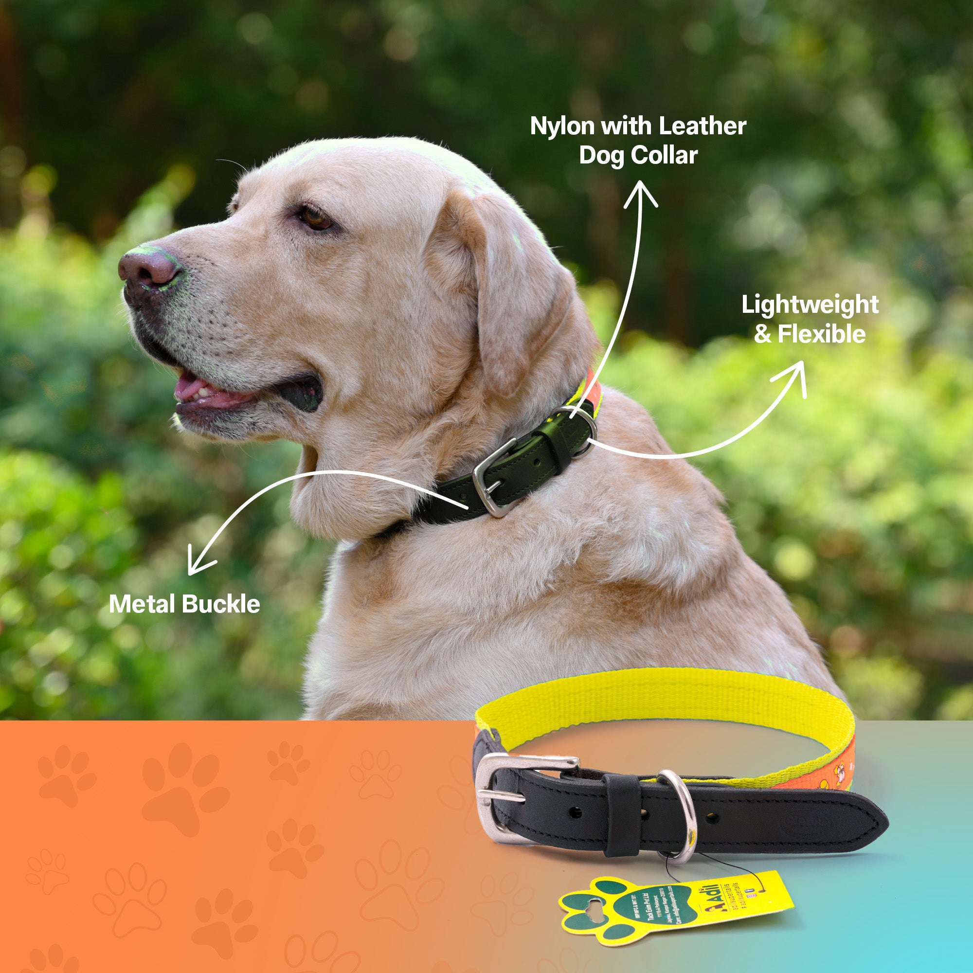 Nylon Dog Collar with Paw Print, Adjustable Metal Buckle