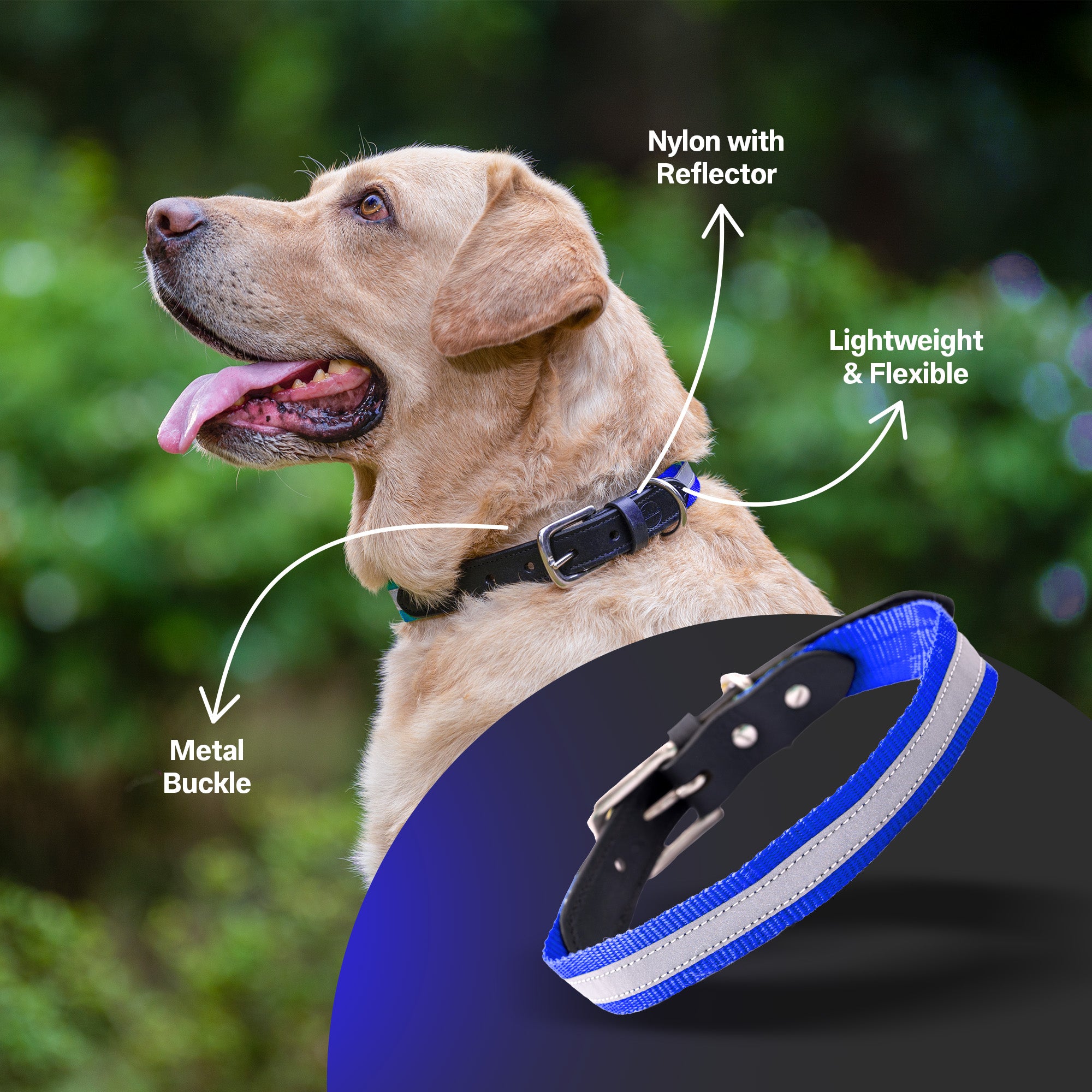 Adil's Reflective Nylon Dog Collar Adjustable Collar with Metal Buckle