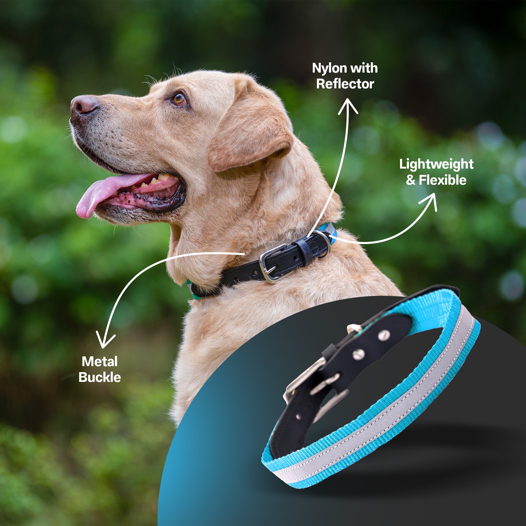 Adil's Reflective Nylon Dog Collar Adjustable Collar with Metal Buckle