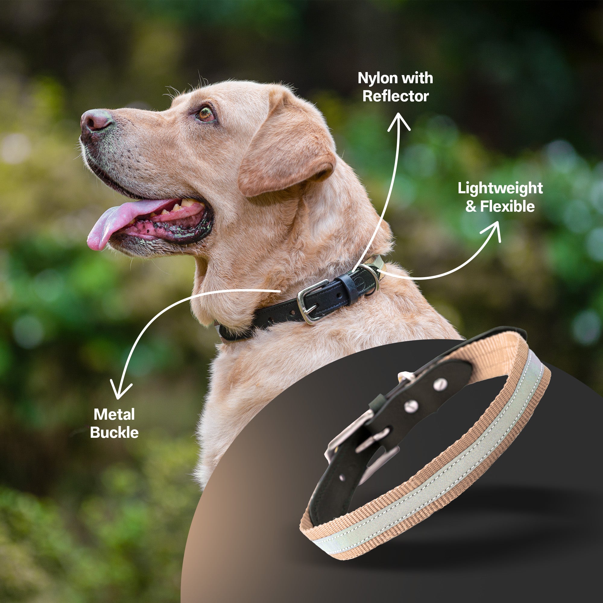 Adil's Reflective Nylon Dog Collar Adjustable Collar with Metal Buckle