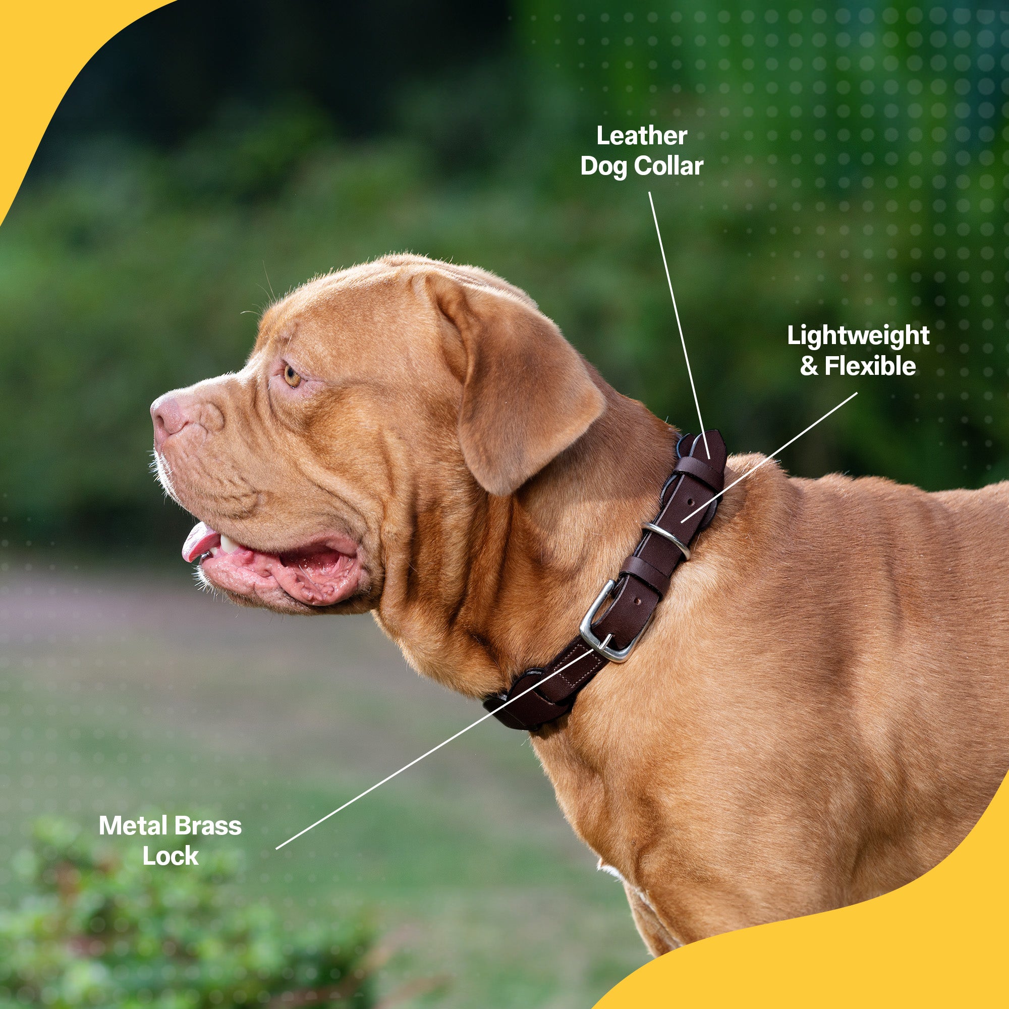 Adil's Leather Personalized Dog Collar (Harness Leather) – 1.5 Inch Wide