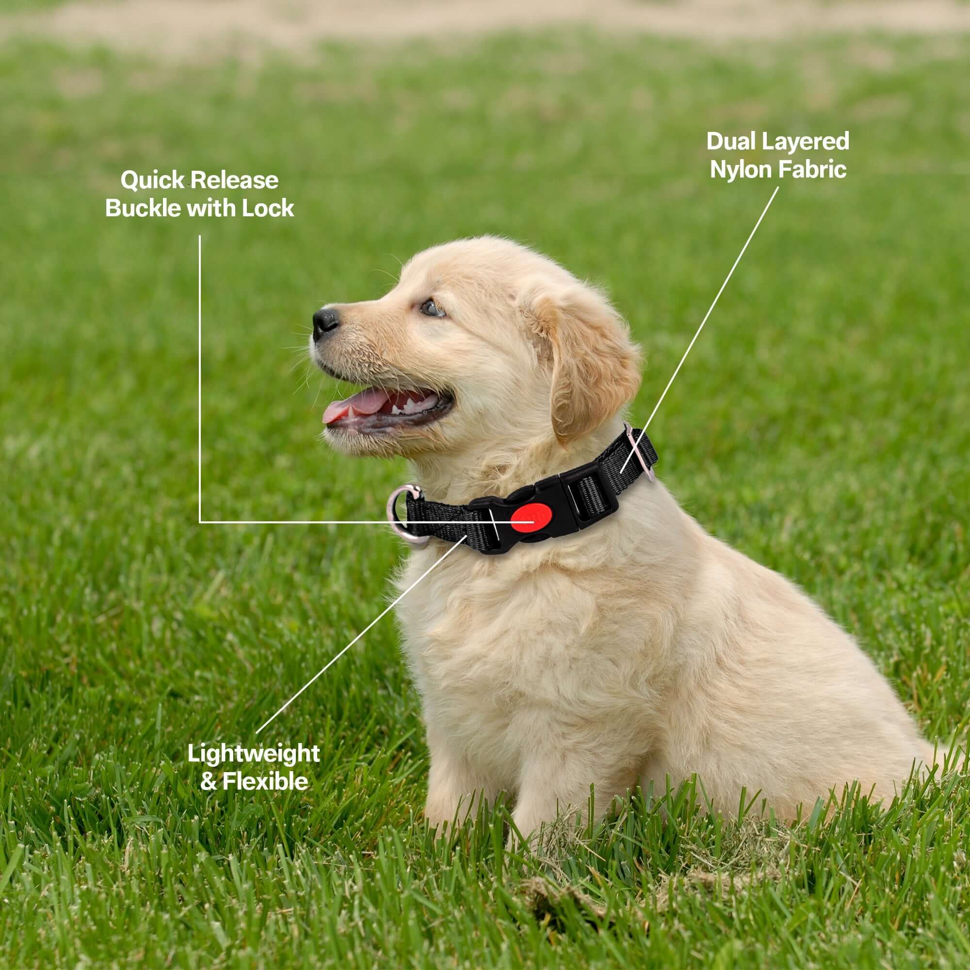 Adil's Nylon Quick Release Cat Collar -19mm