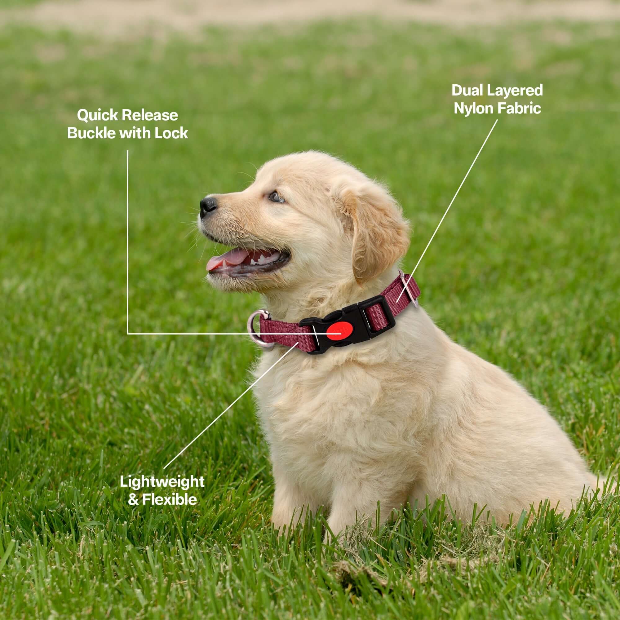 Adil's Nylon Quick Release Cat Collar -19mm