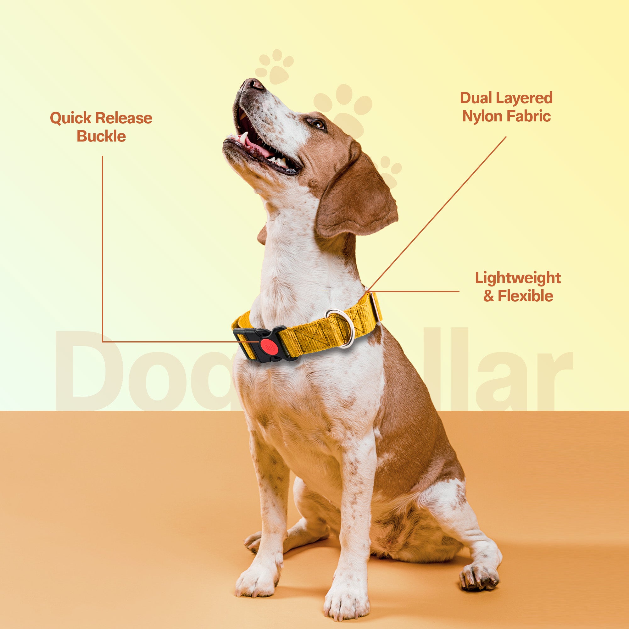 Adil's Nylon Quick Release Dog Collar 25 mm