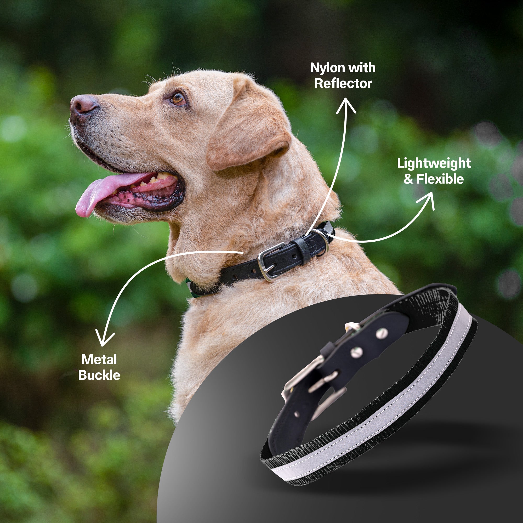 Adil's Reflective Nylon Dog Collar Adjustable Collar with Metal Buckle