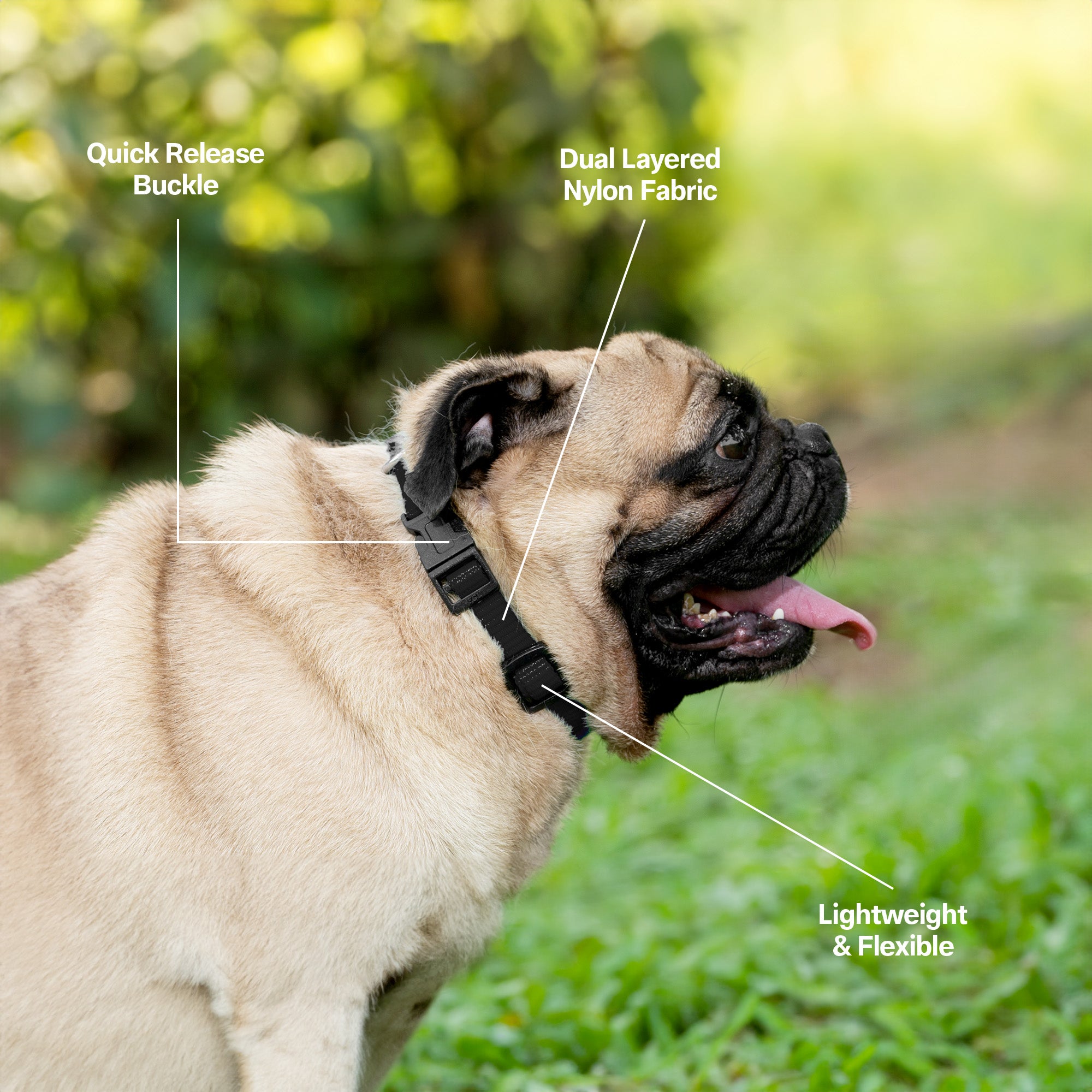 Adil's Nylon Quick Release Cat Collar 12 mm