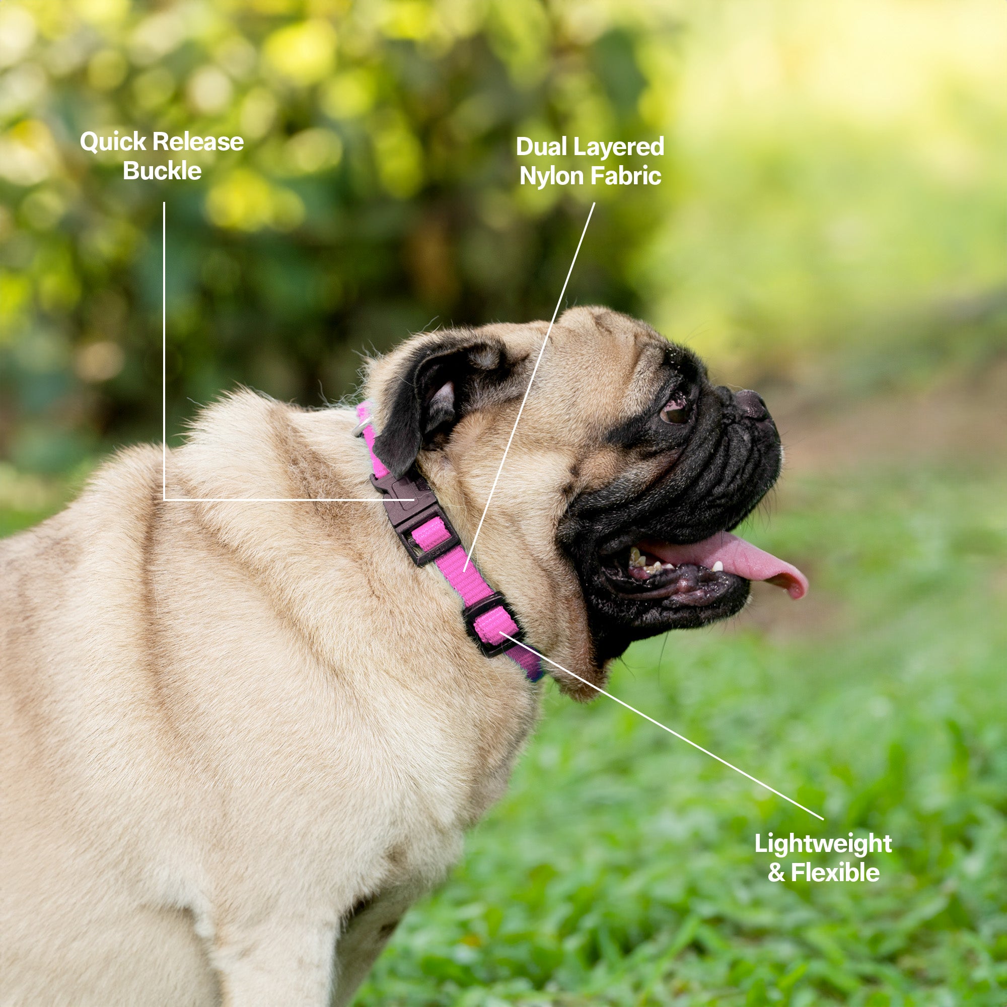 Adil's Nylon Quick Release Cat Collar 12 mm