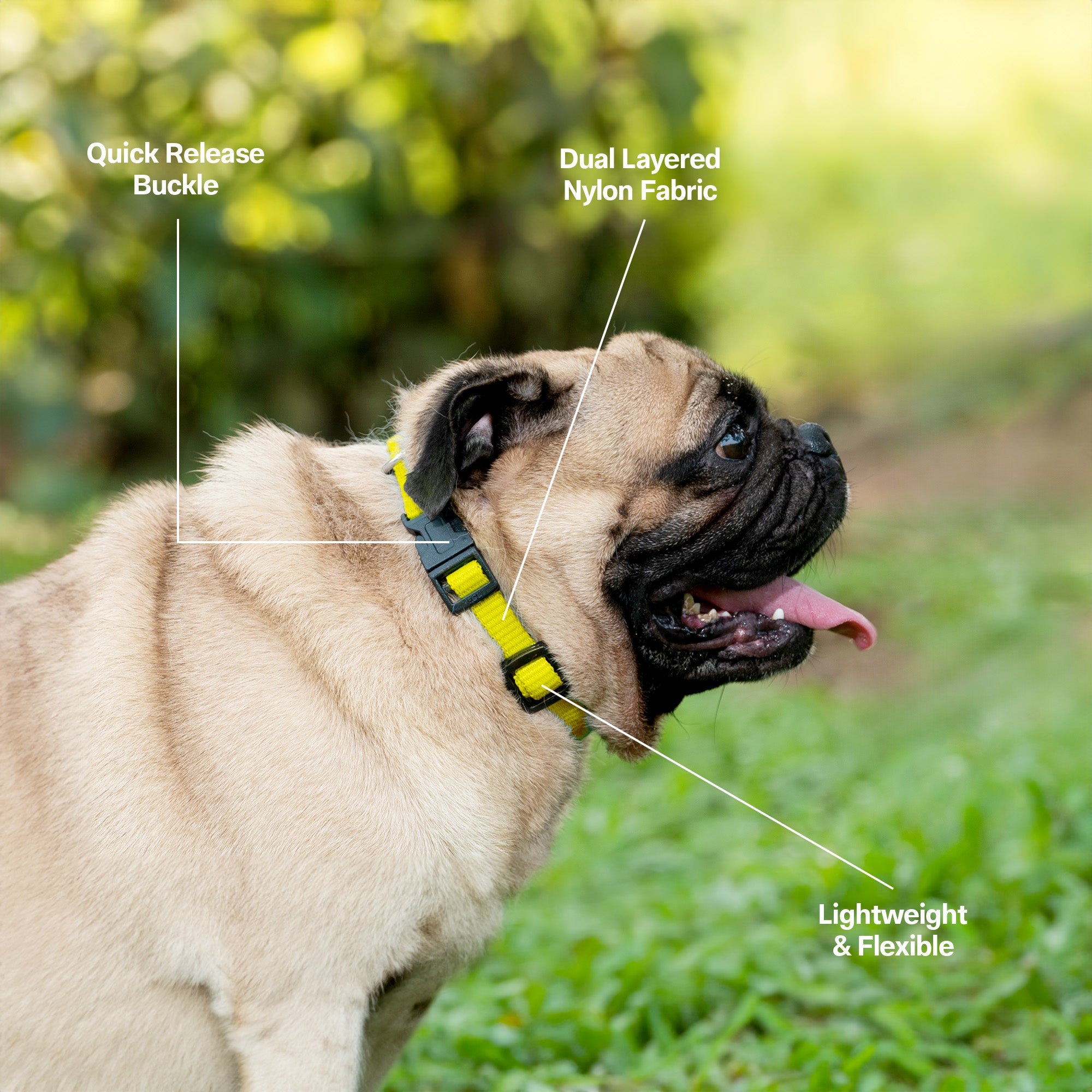 Adil's Nylon Quick Release Cat Collar 12 mm