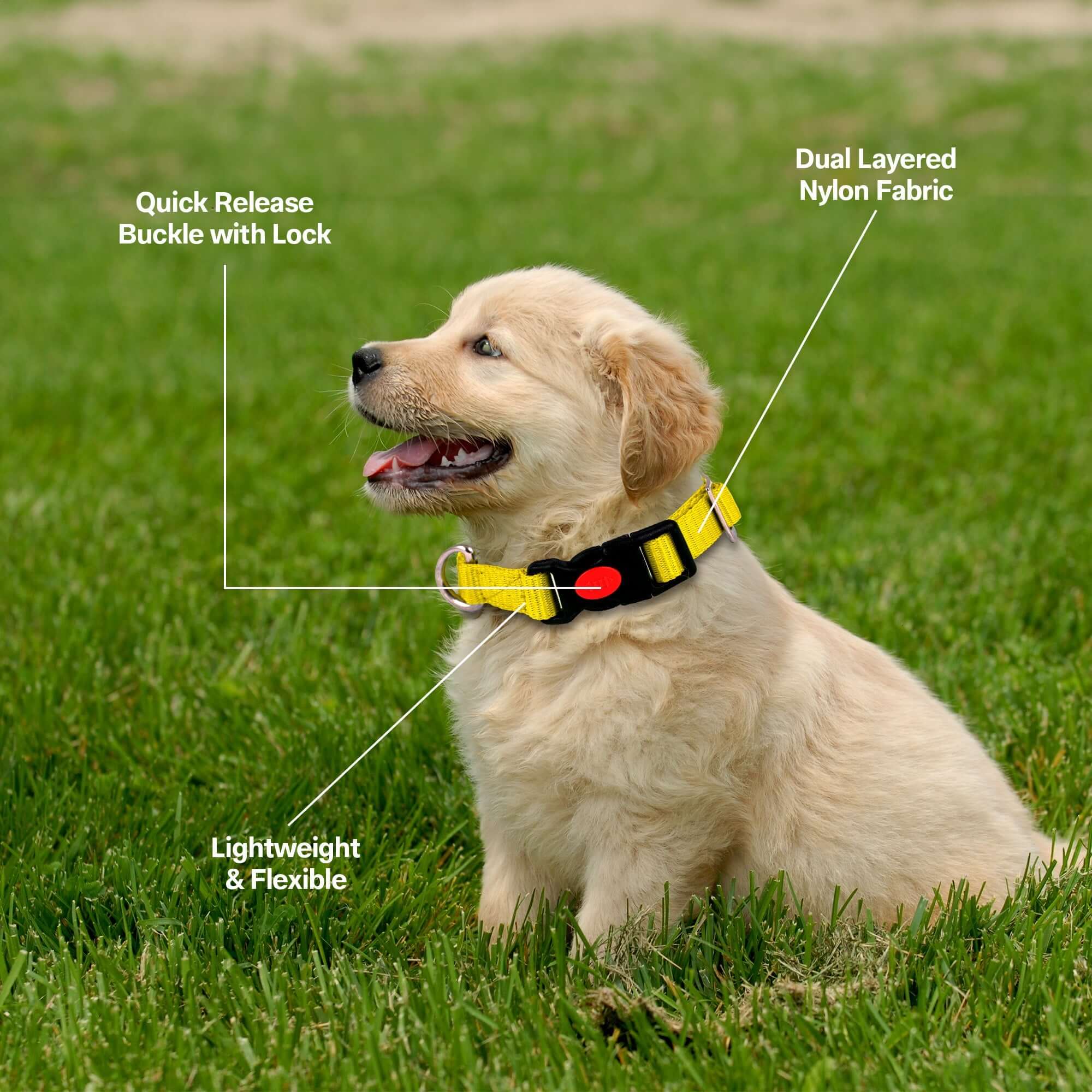 Adil's Nylon Quick Release Cat Collar -19mm