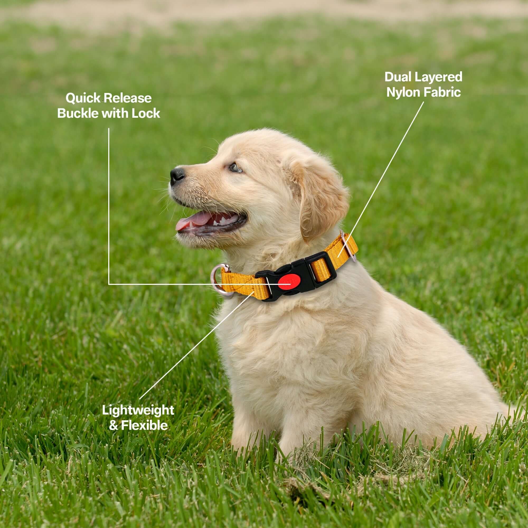 Adil's Nylon Quick Release Cat Collar -19mm