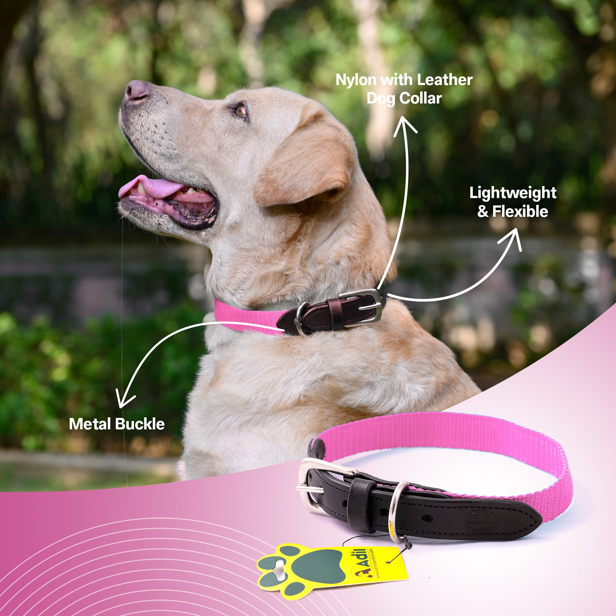 Nylon Dog Collar with Leather finish and Adjustable Metal Buckle