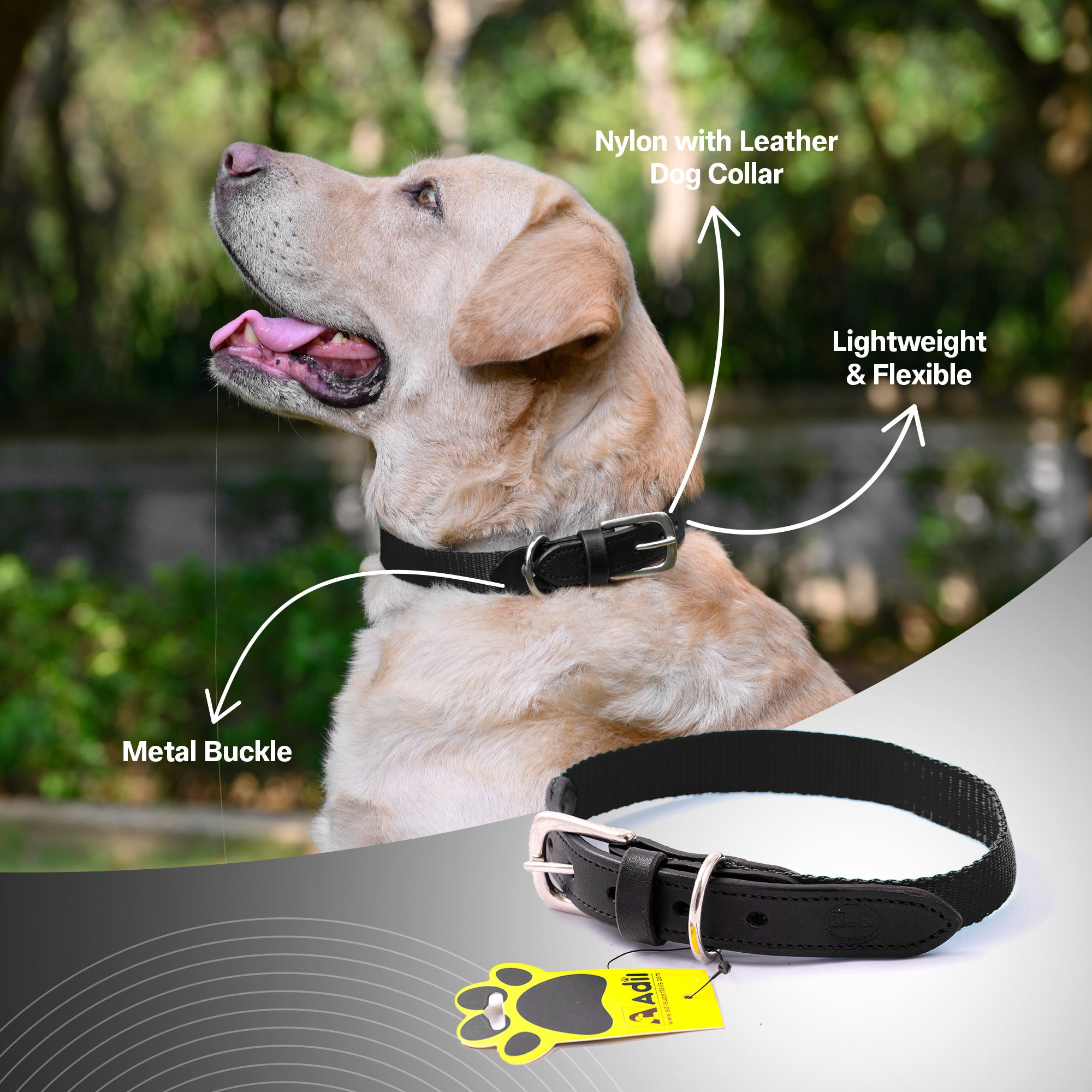Nylon Dog Collar with Leather finish and Adjustable Metal Buckle