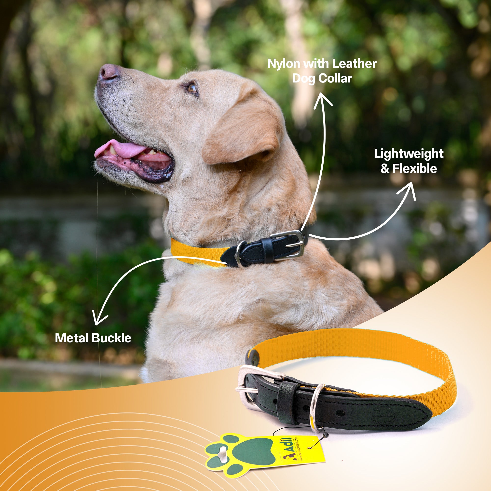 Nylon Dog Collar with Leather finish and Adjustable Metal Buckle