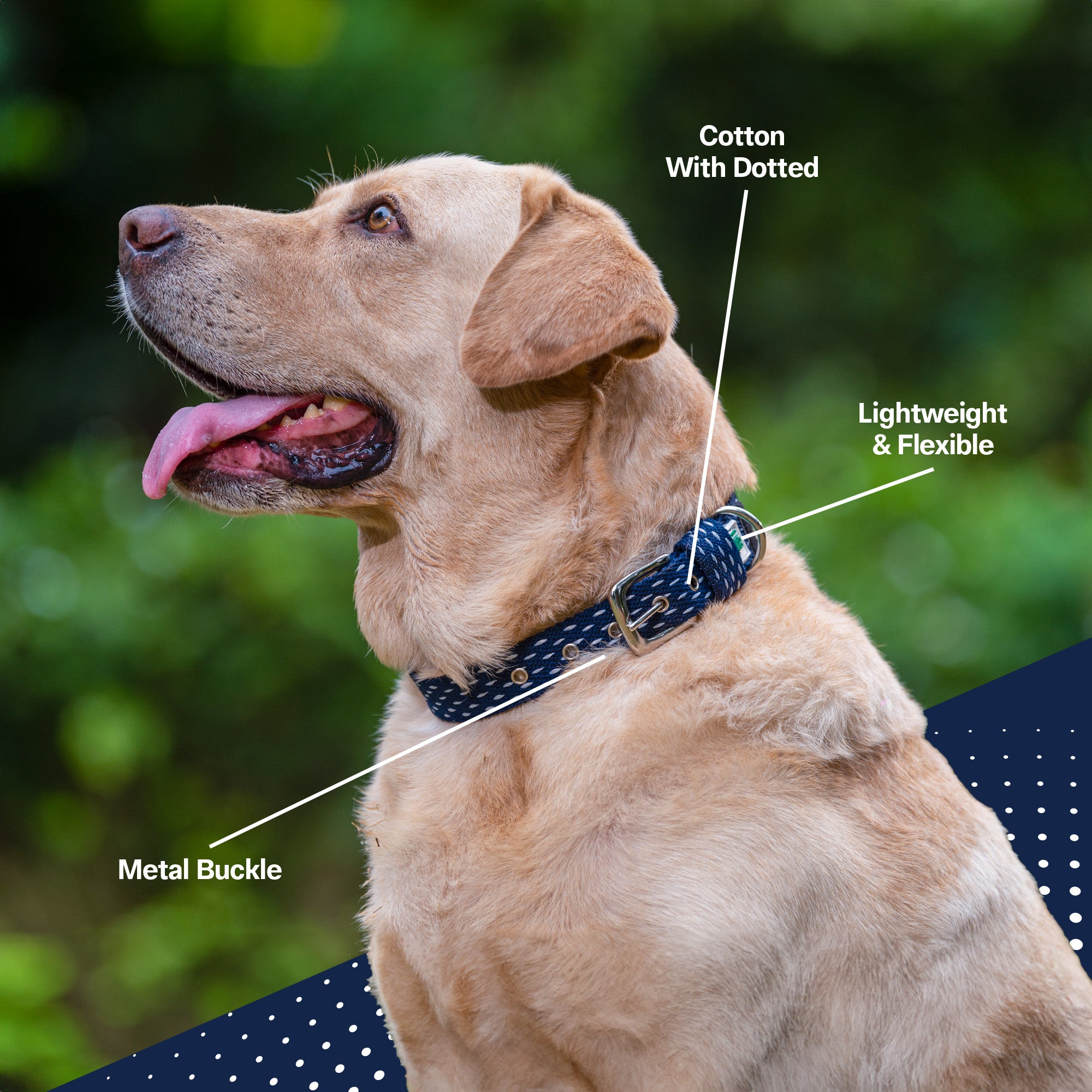 Adjustable Cotton Dotted Dog Collar