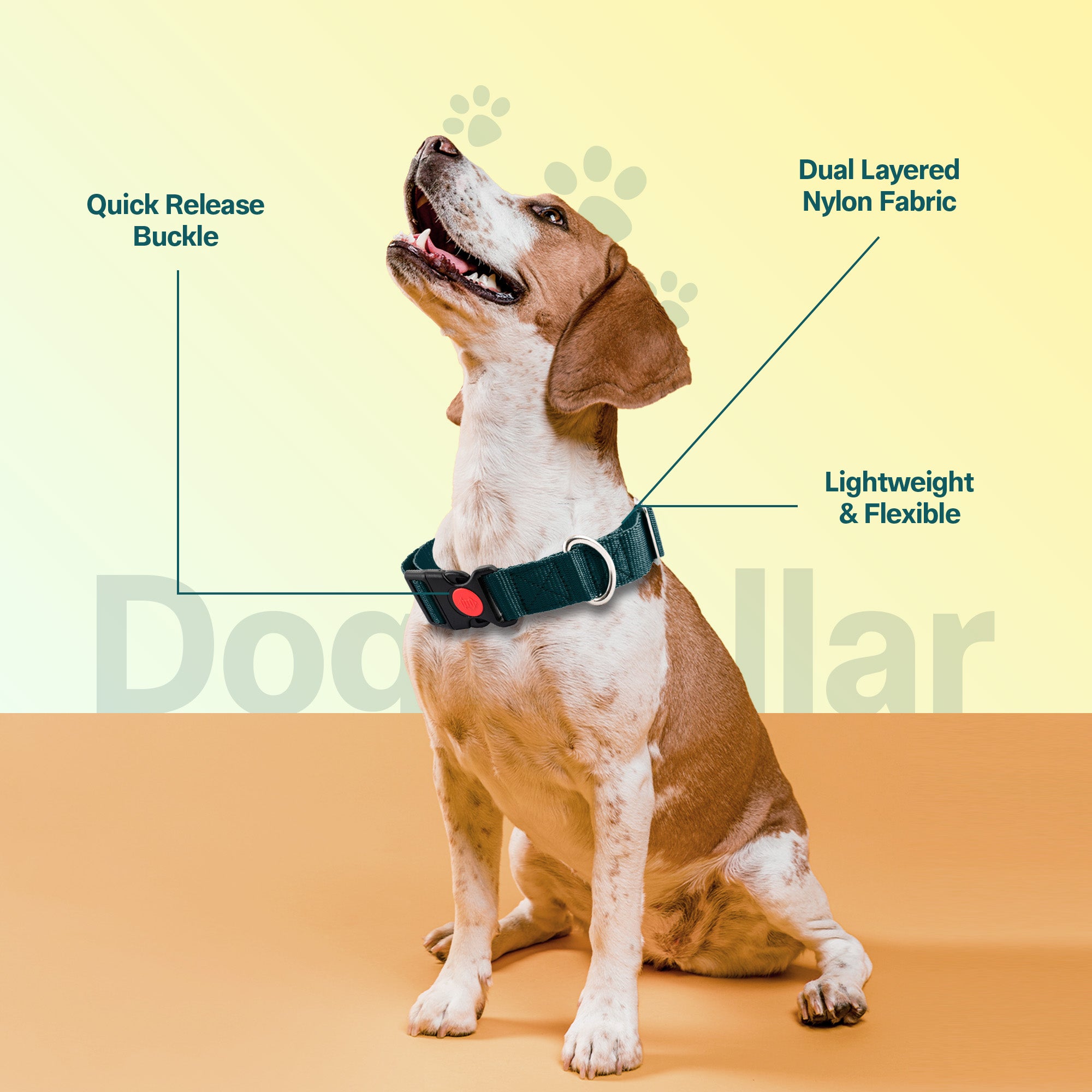 Adil's Nylon Quick Release Dog Collar 25 mm