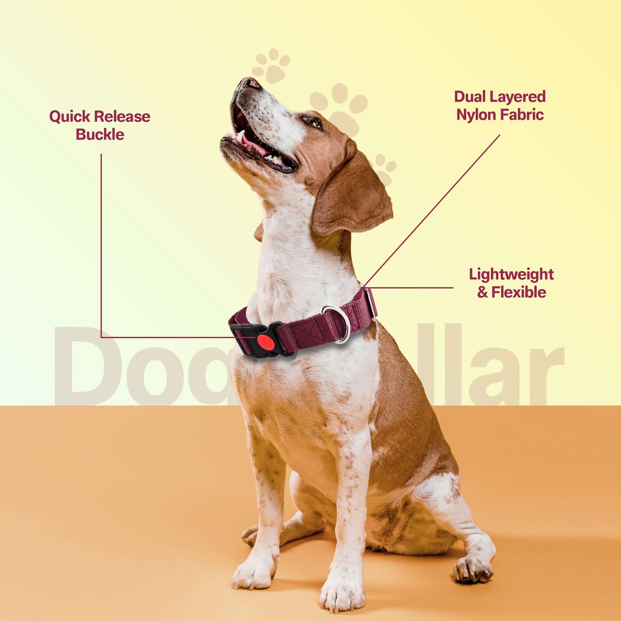 Adil's Nylon Quick Release Dog Collar 25 mm