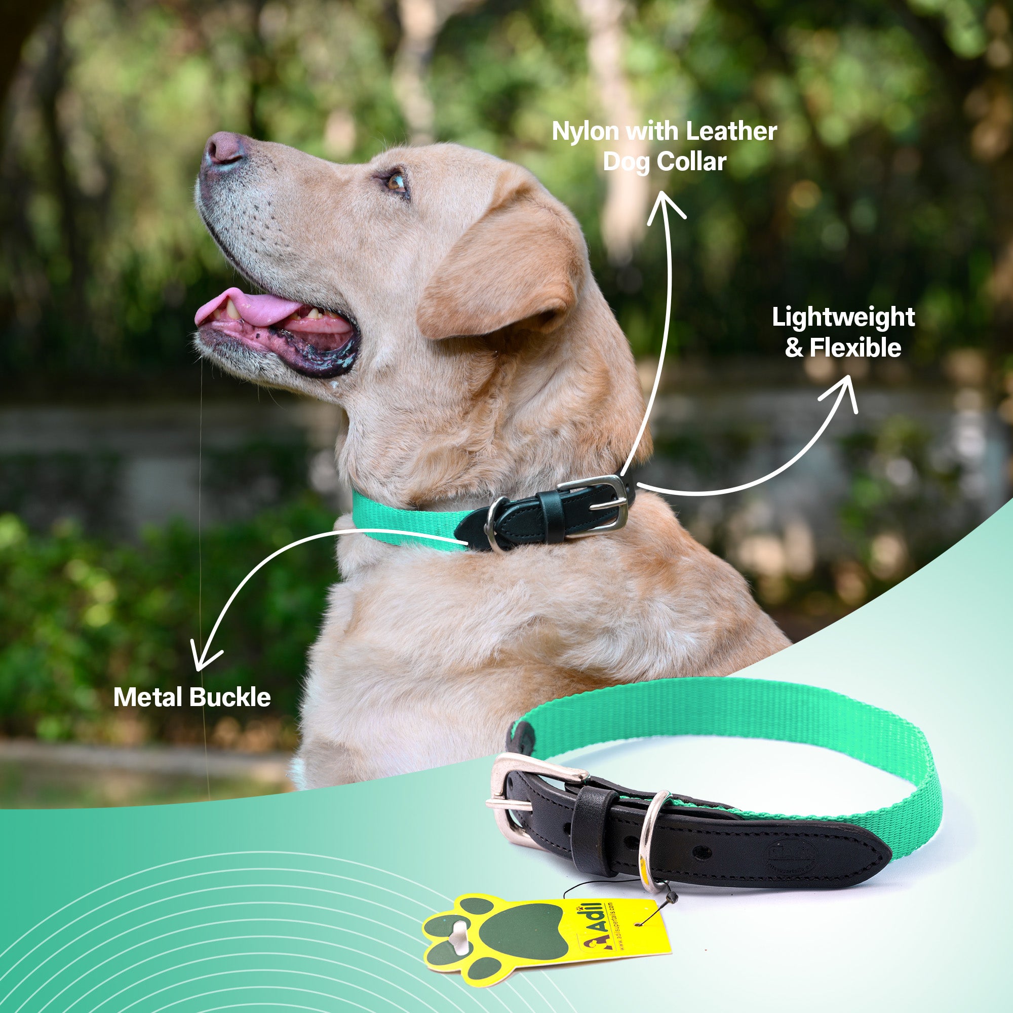 Nylon Dog Collar with Leather finish and Adjustable Metal Buckle