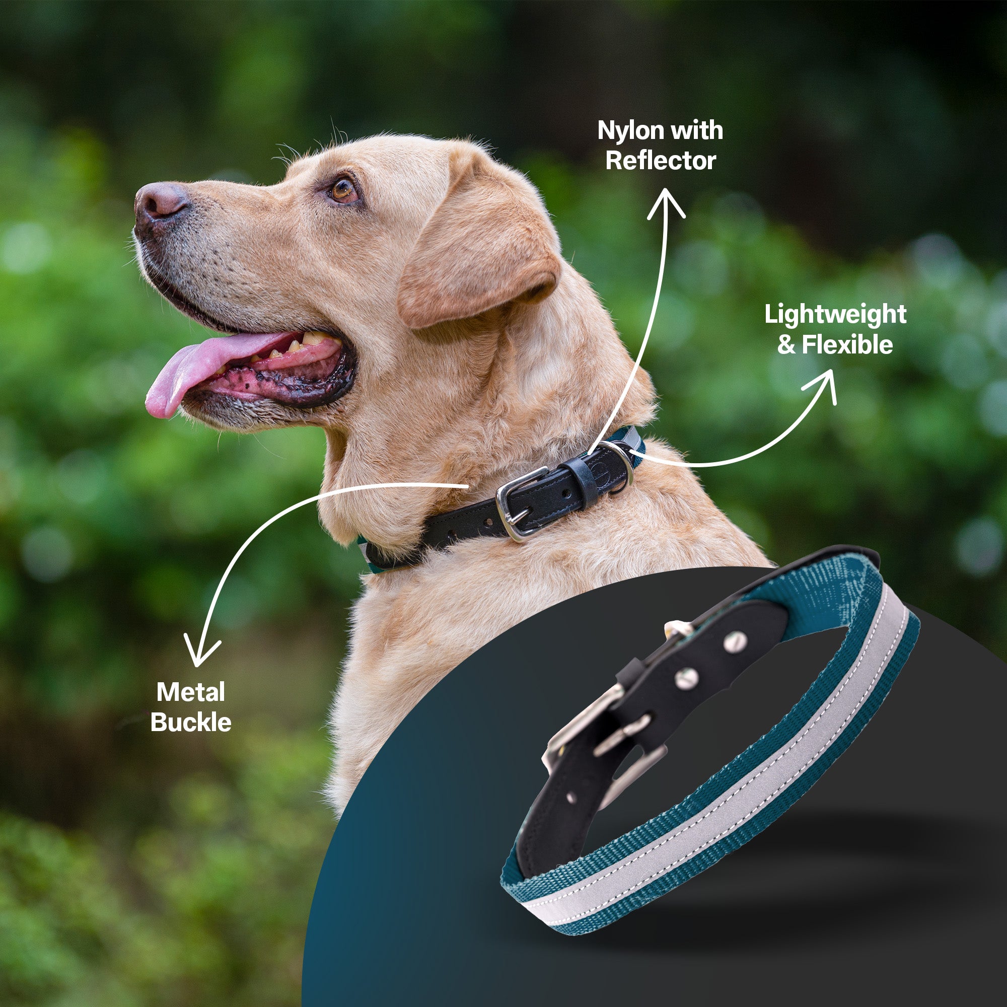 Adil's Reflective Nylon Dog Collar Adjustable Collar with Metal Buckle