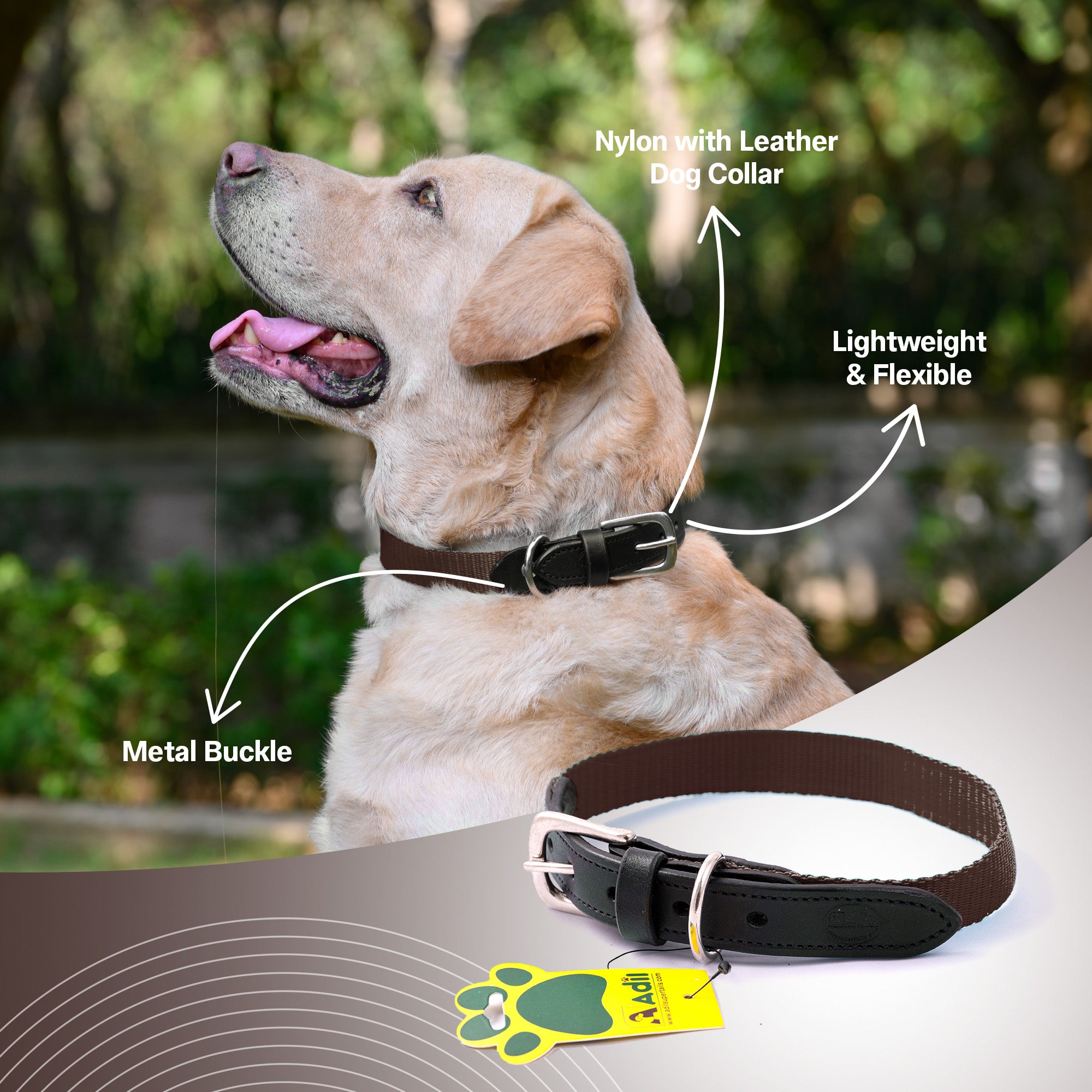 Nylon Dog Collar with Leather finish and Adjustable Metal Buckle