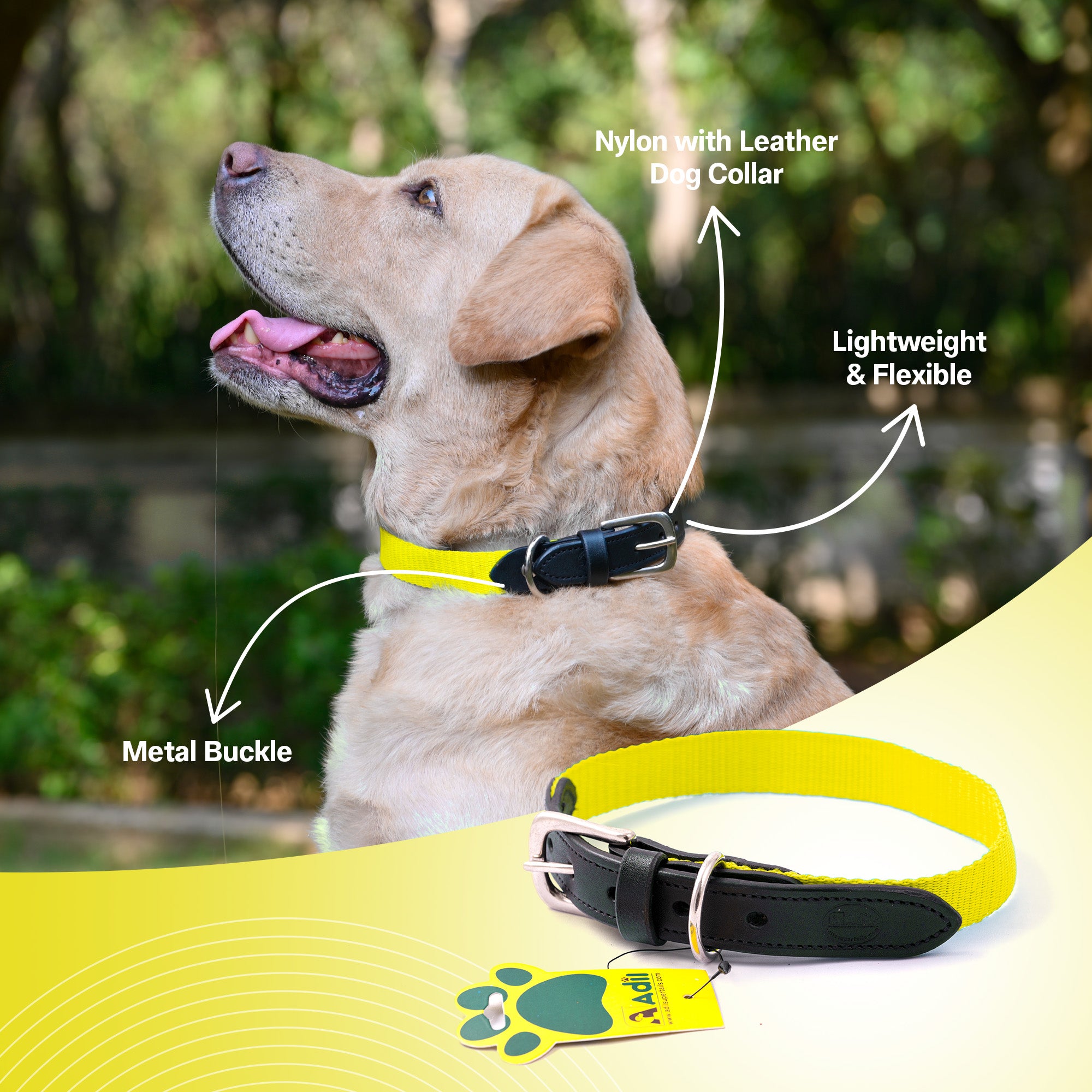 Nylon Dog Collar with Leather finish and Adjustable Metal Buckle