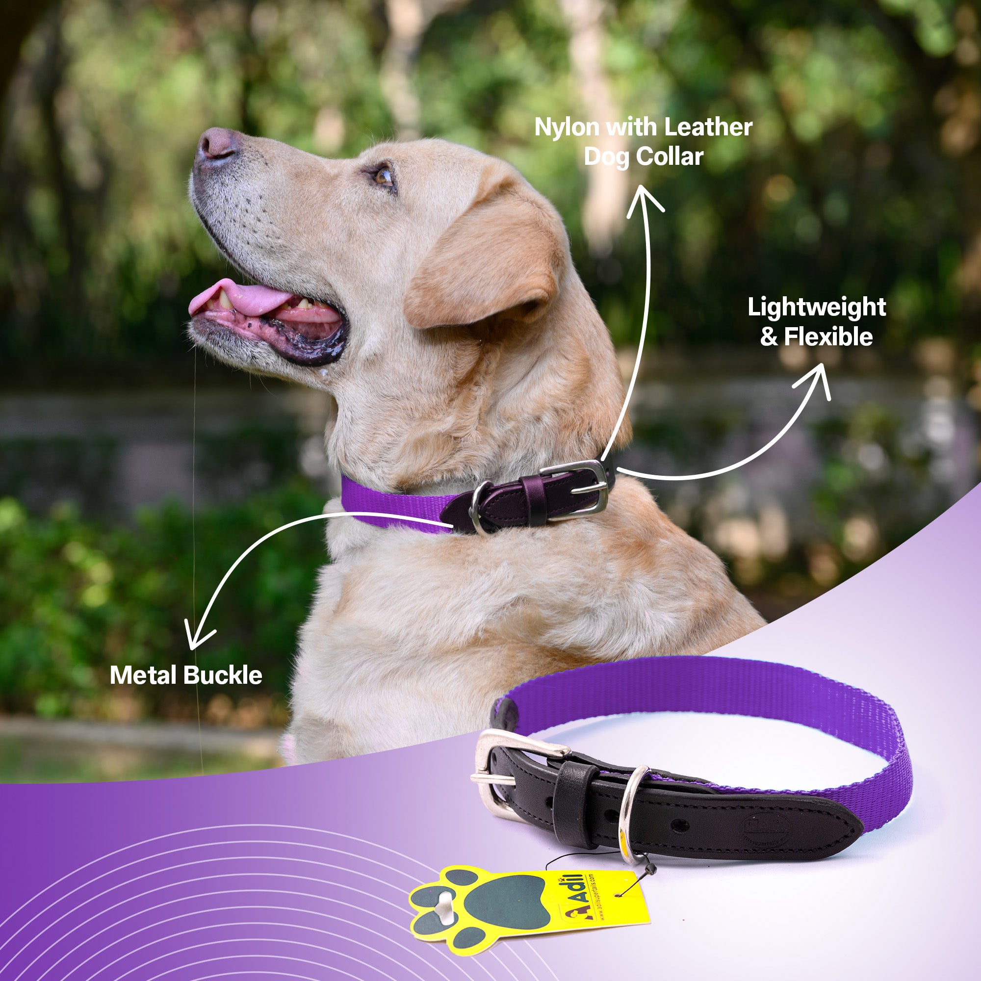 Nylon Dog Collar with Leather finish and Adjustable Metal Buckle