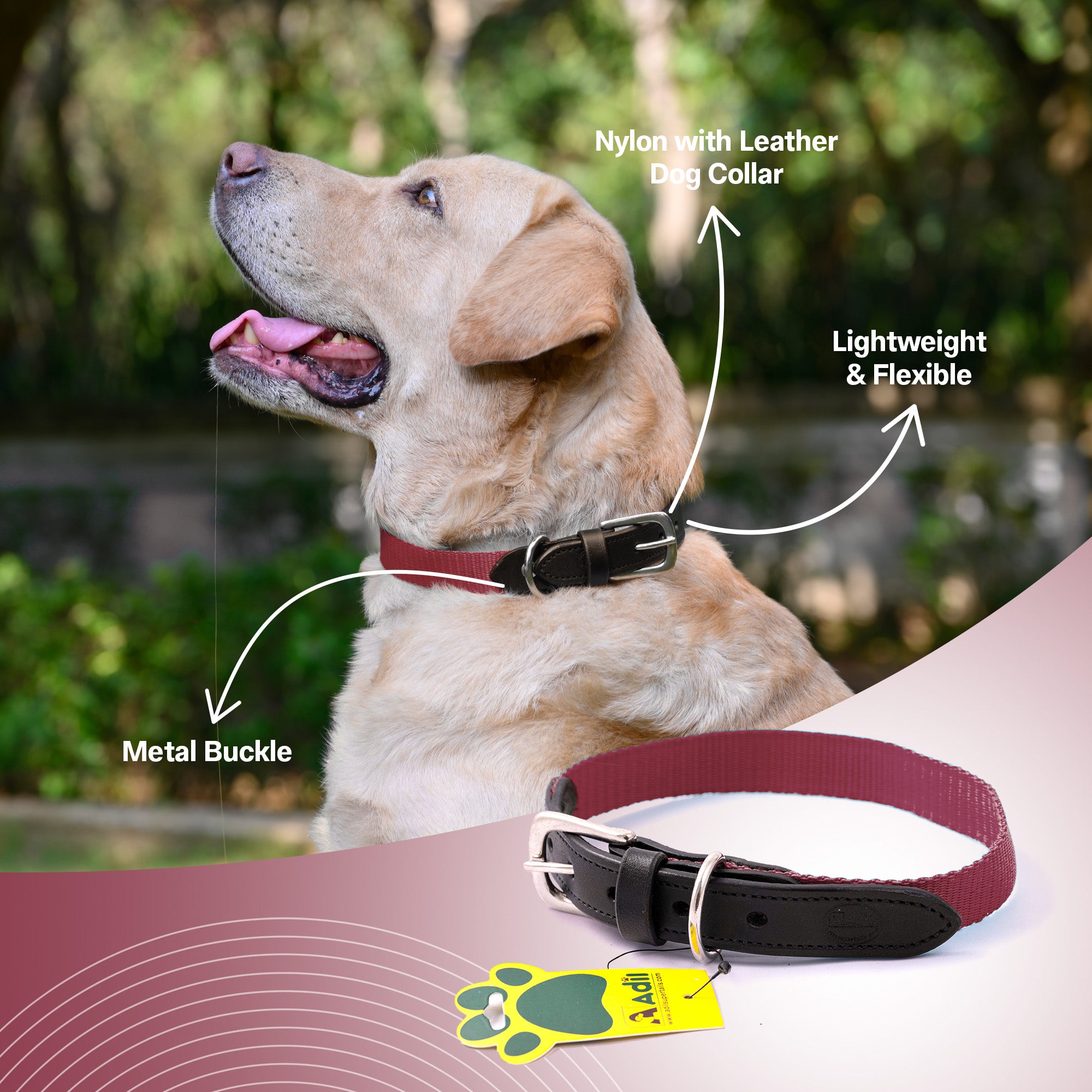 Nylon Dog Collar with Leather finish and Adjustable Metal Buckle
