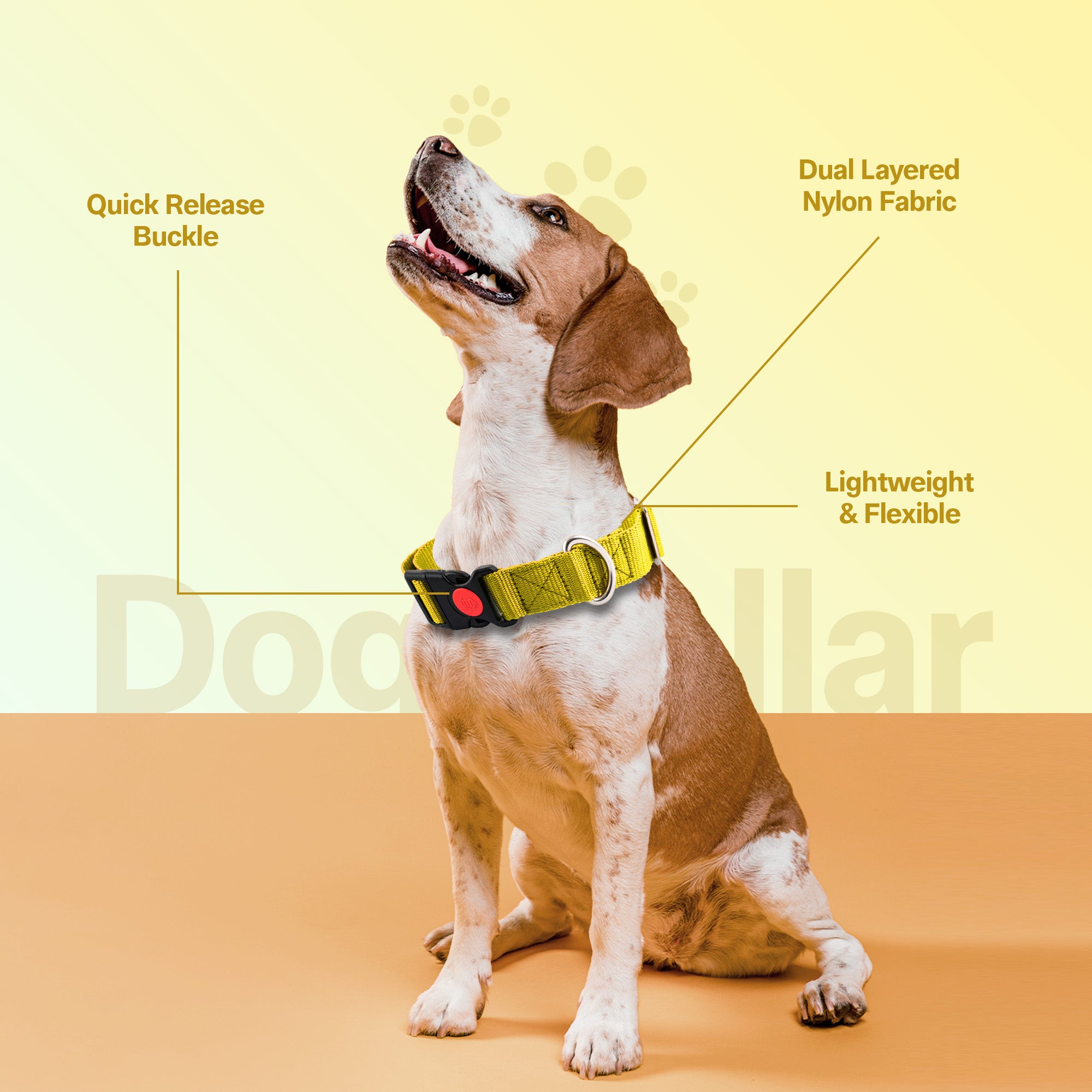 Adil's Nylon Quick Release Dog Collar 25 mm