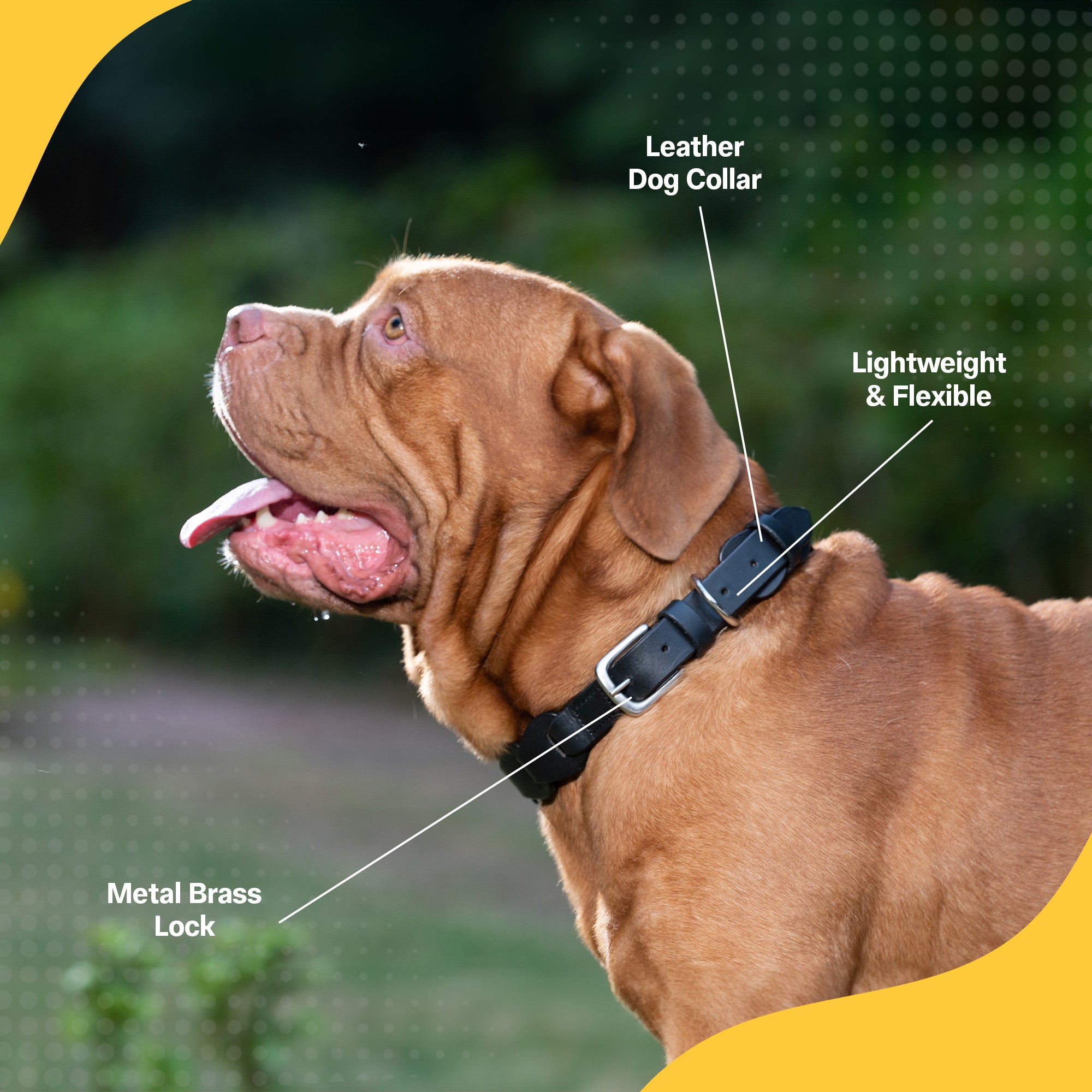 Adil's Leather Personalized Dog Collar (Harness Leather) – 1.5 Inch Wide