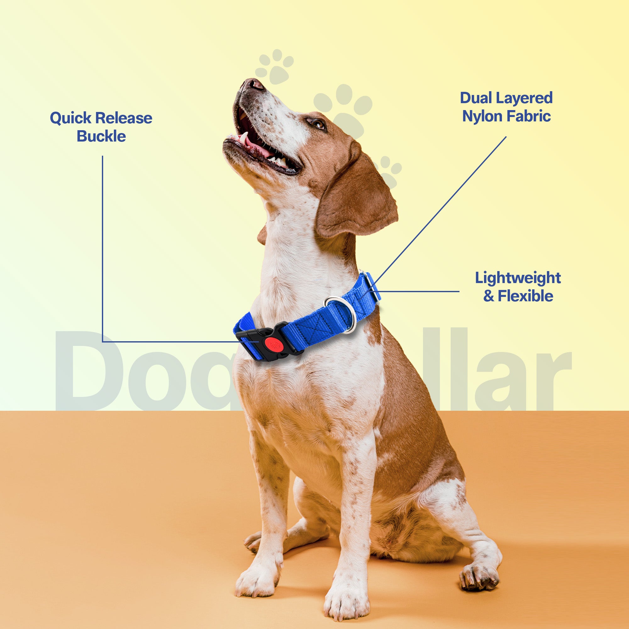 Adil's Nylon Quick Release Dog Collar 25 mm