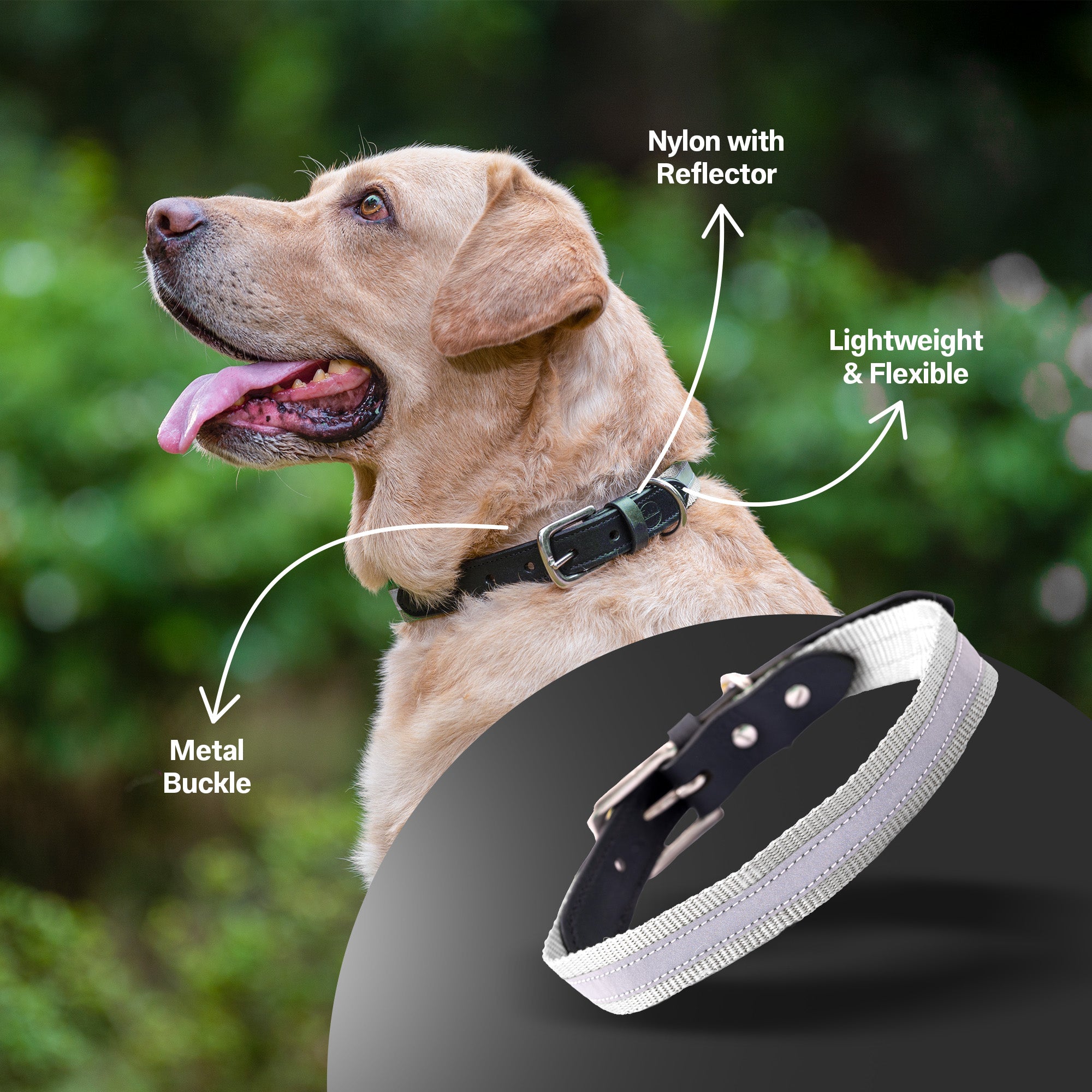 Adil's Reflective Nylon Dog Collar Adjustable Collar with Metal Buckle