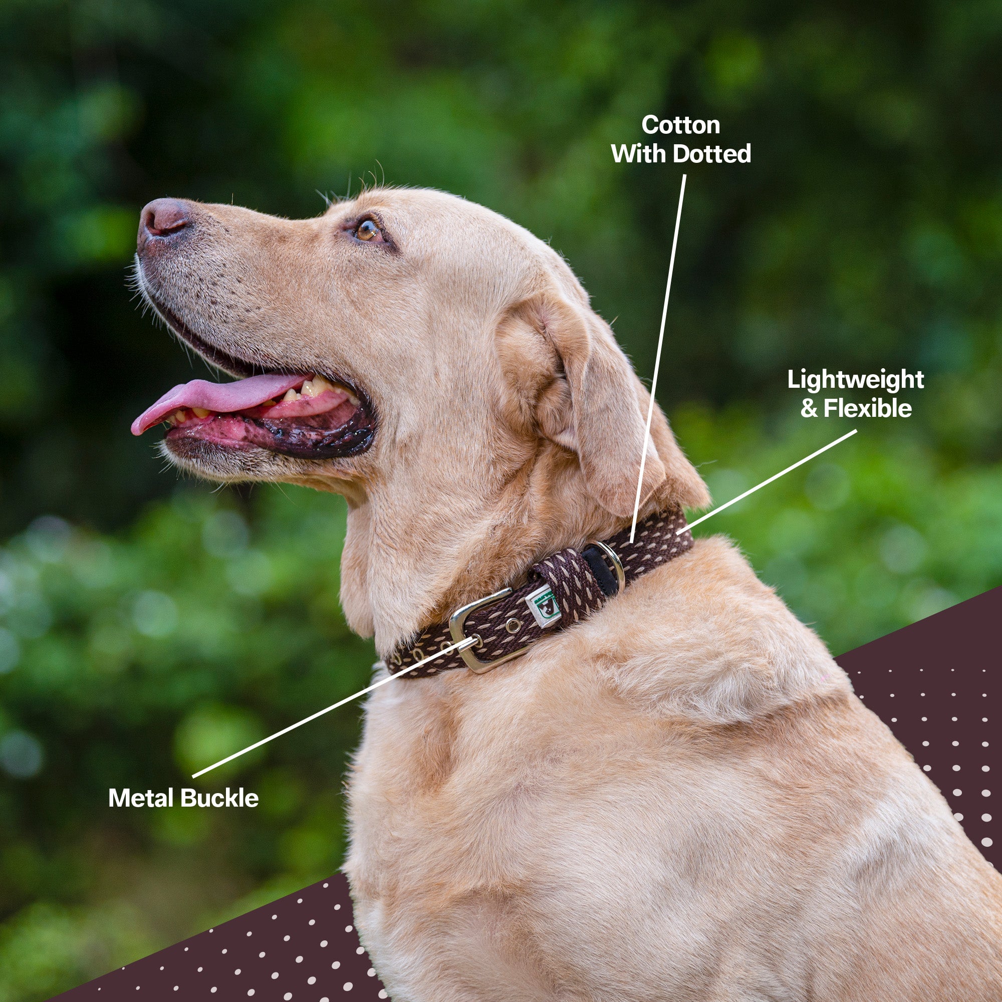 Adjustable Cotton Dotted Dog Collar