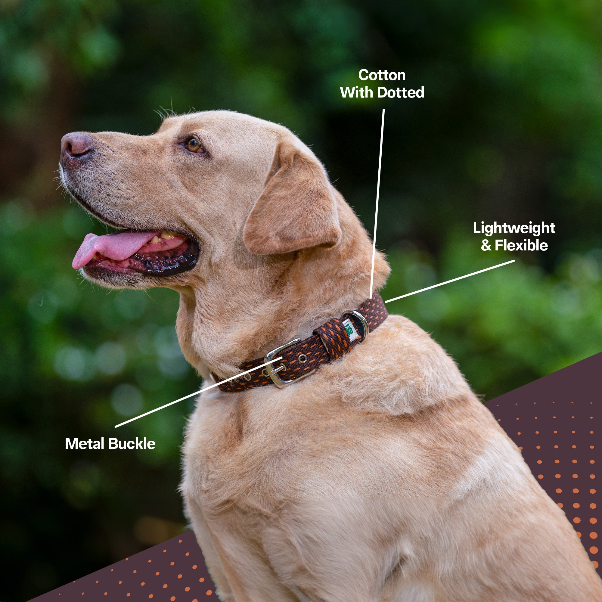 Adjustable Cotton Dotted Dog Collar