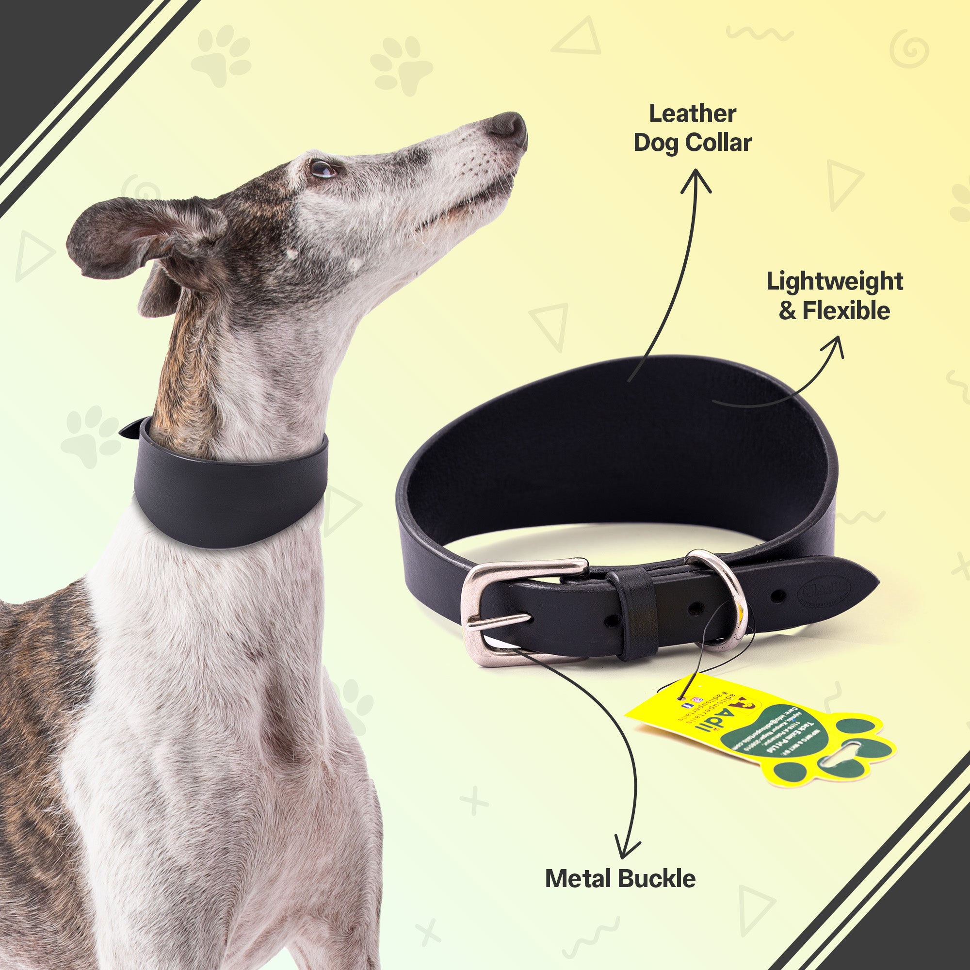 Adil’s Greyhound Plain Leather Dog Collar, Genuine Leather Suitable for Saluki, Whippet Dogs & Breeds with Similar Neck/Head Structure