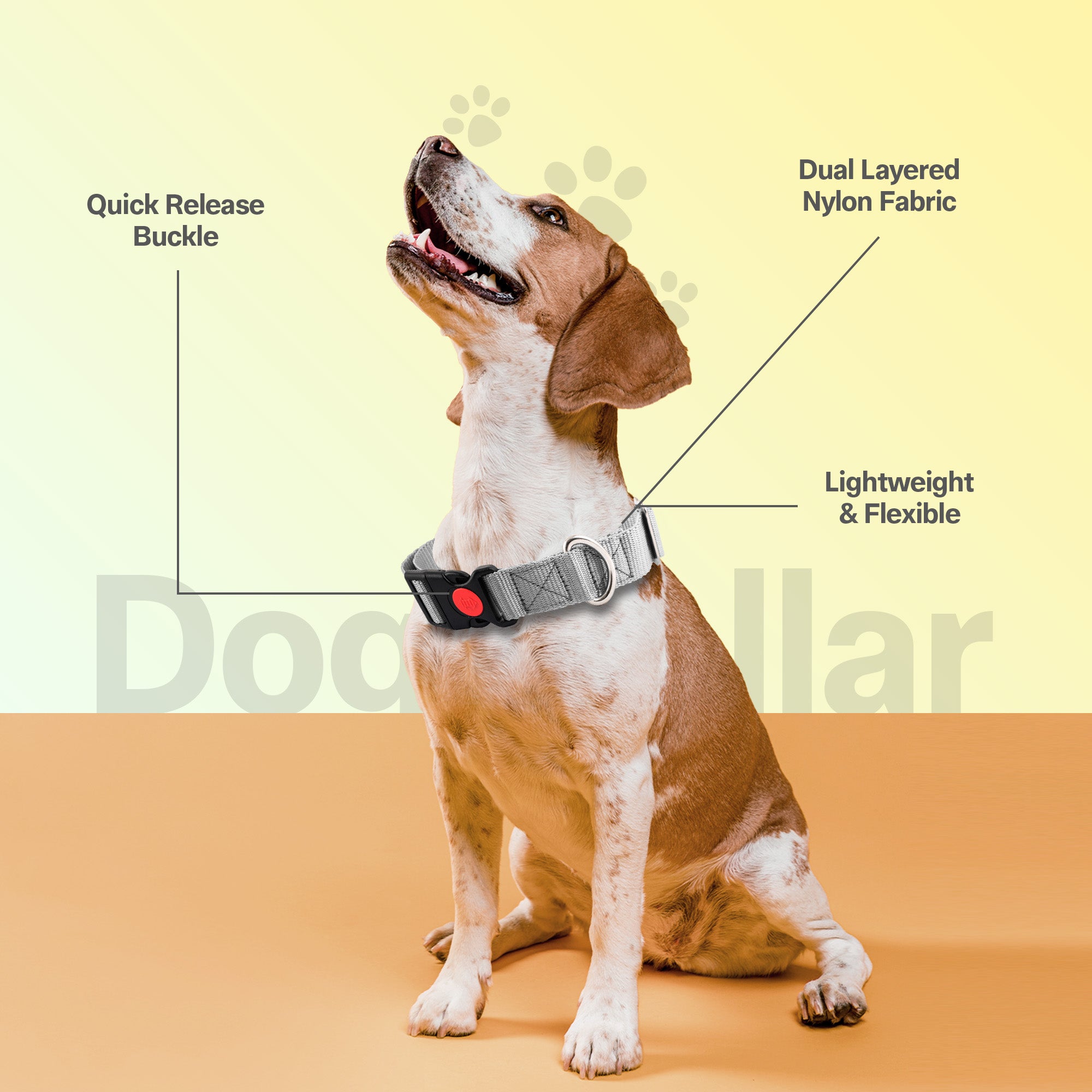 Adil's Nylon Quick Release Dog Collar 25 mm