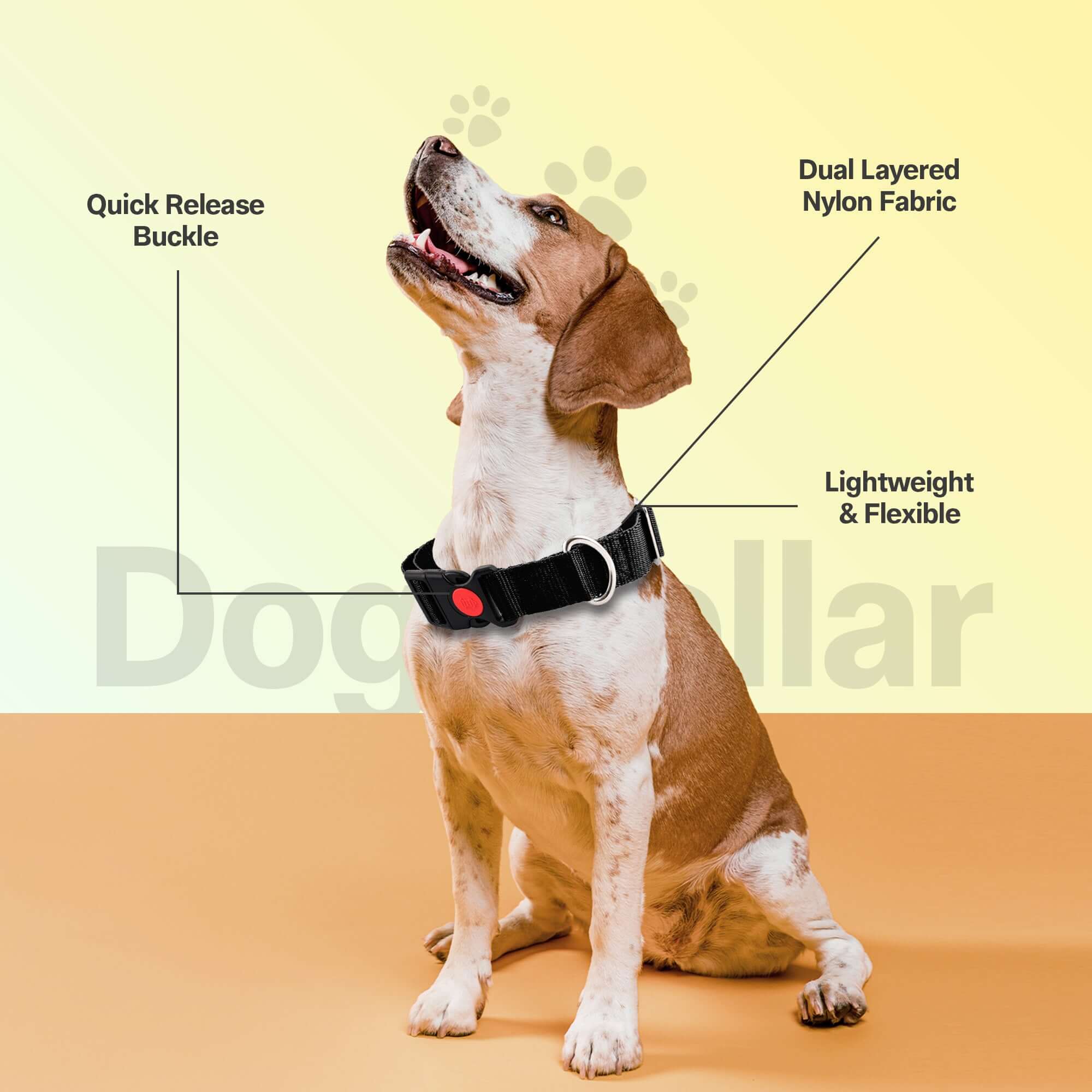 Adil's Nylon Quick Release Dog Collar 25 mm