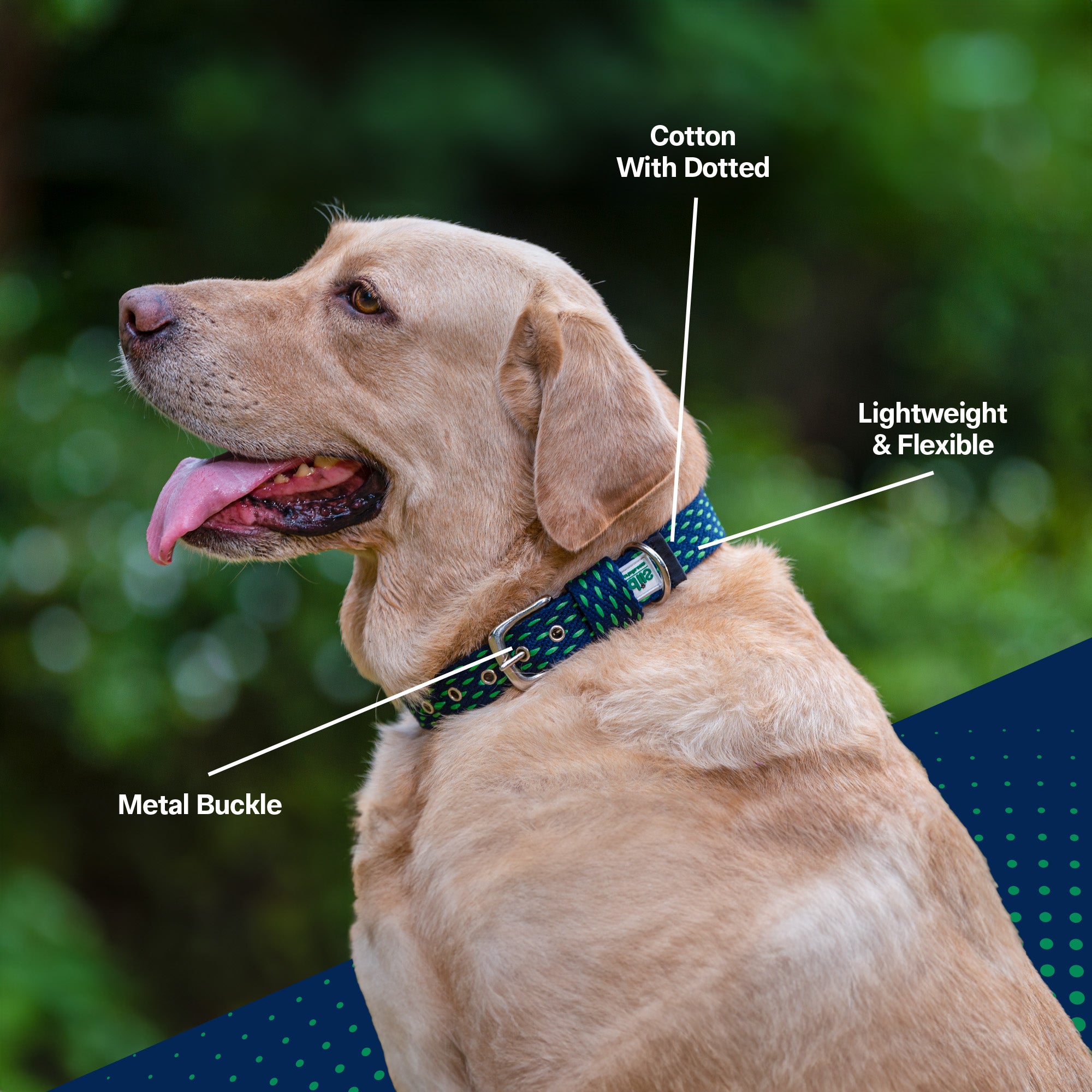 Adjustable Cotton Dotted Dog Collar