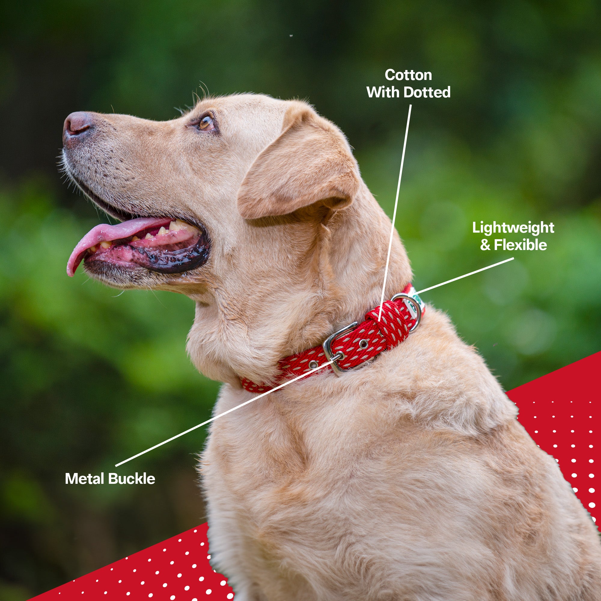 Adjustable Cotton Dotted Dog Collar