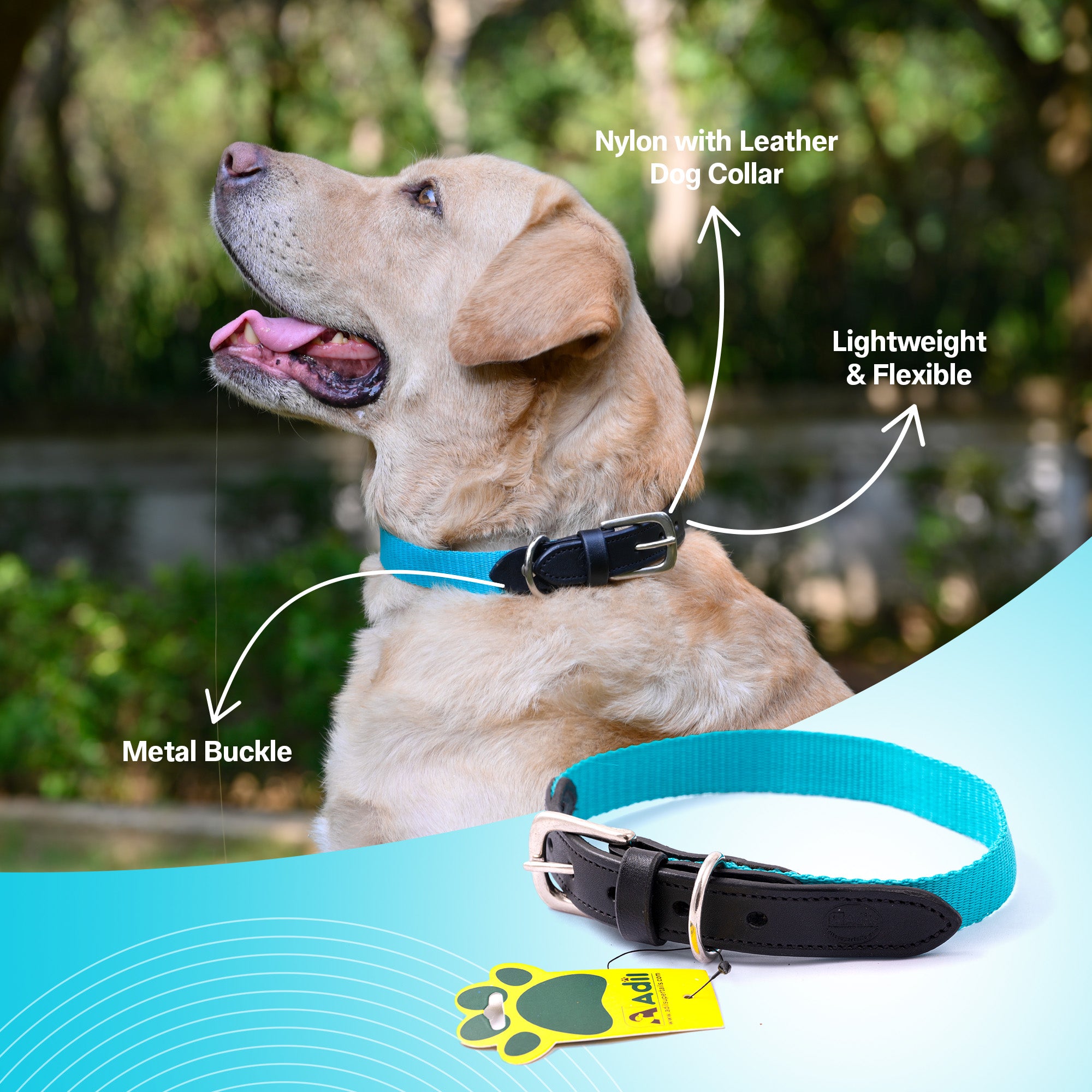 Nylon Dog Collar with Leather finish and Adjustable Metal Buckle