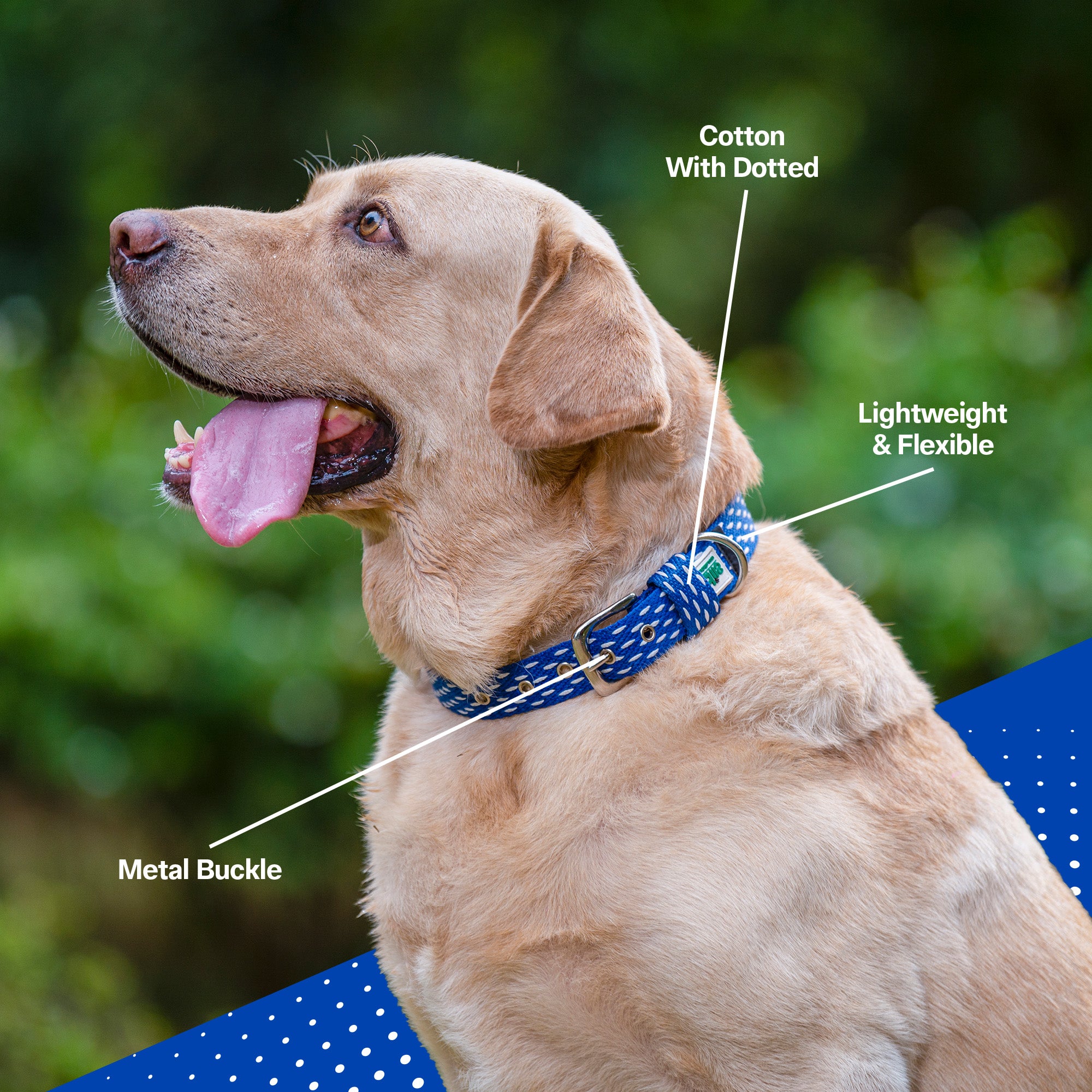 Adjustable Cotton Dotted Dog Collar