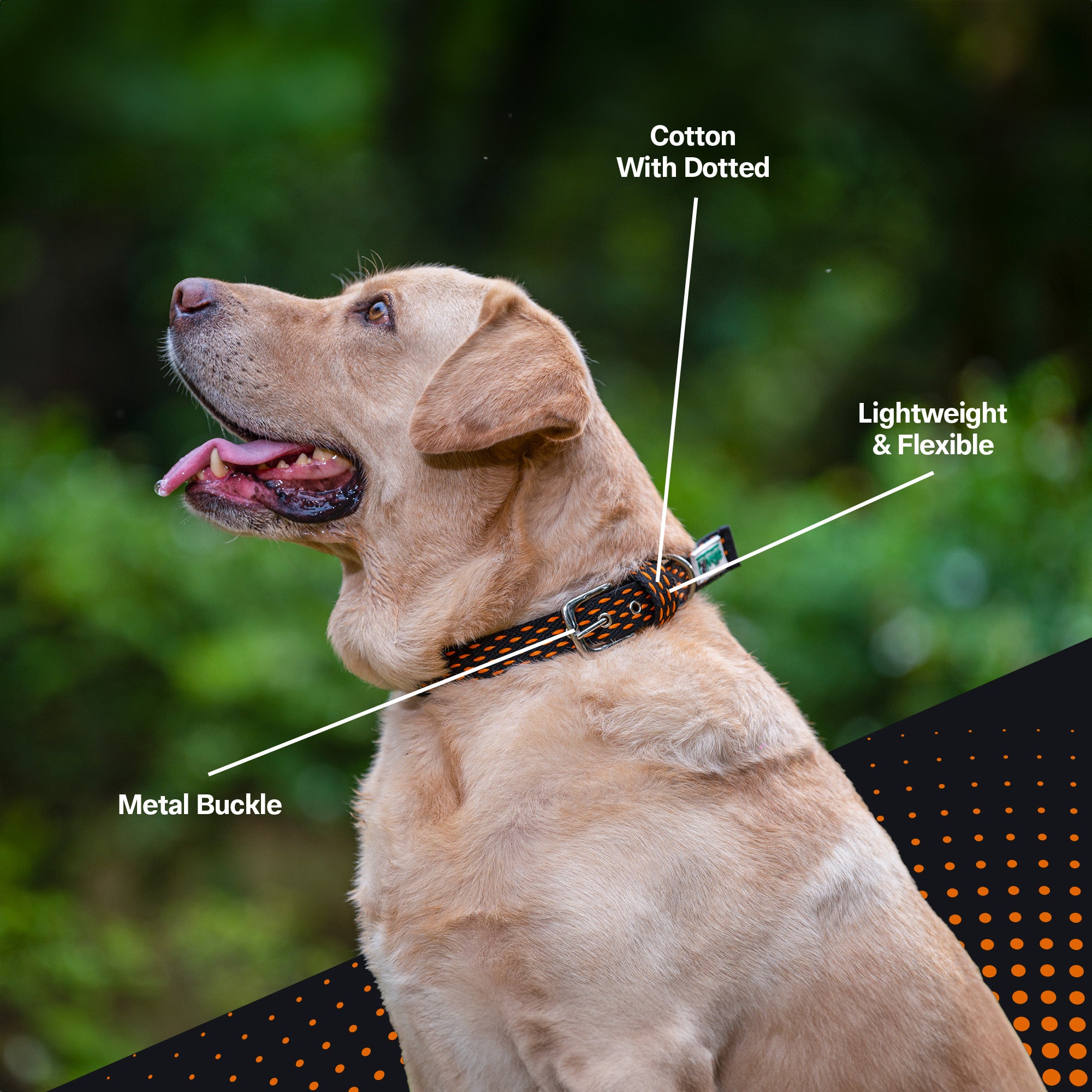 Adjustable Cotton Dotted Dog Collar