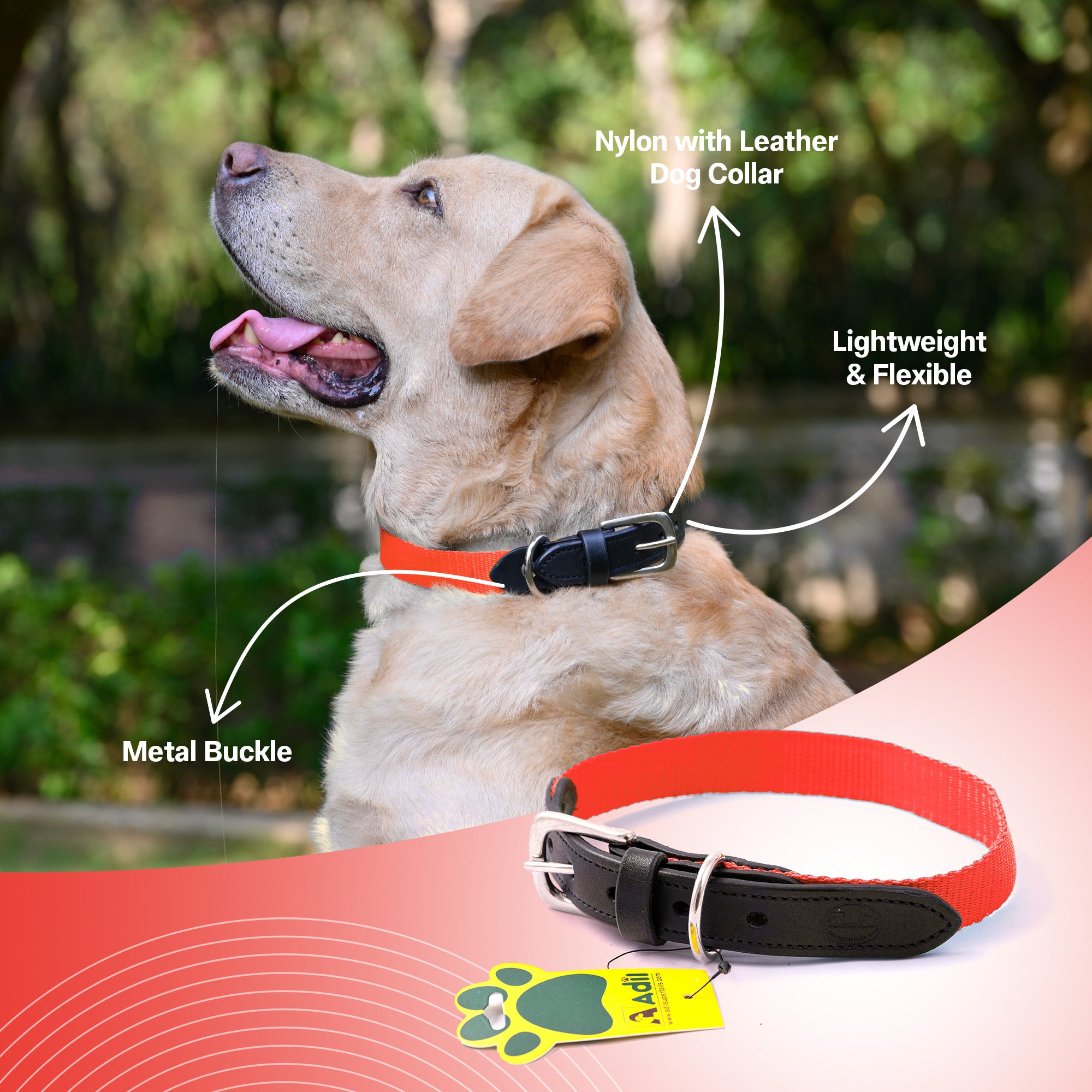 Nylon Dog Collar with Leather finish and Adjustable Metal Buckle
