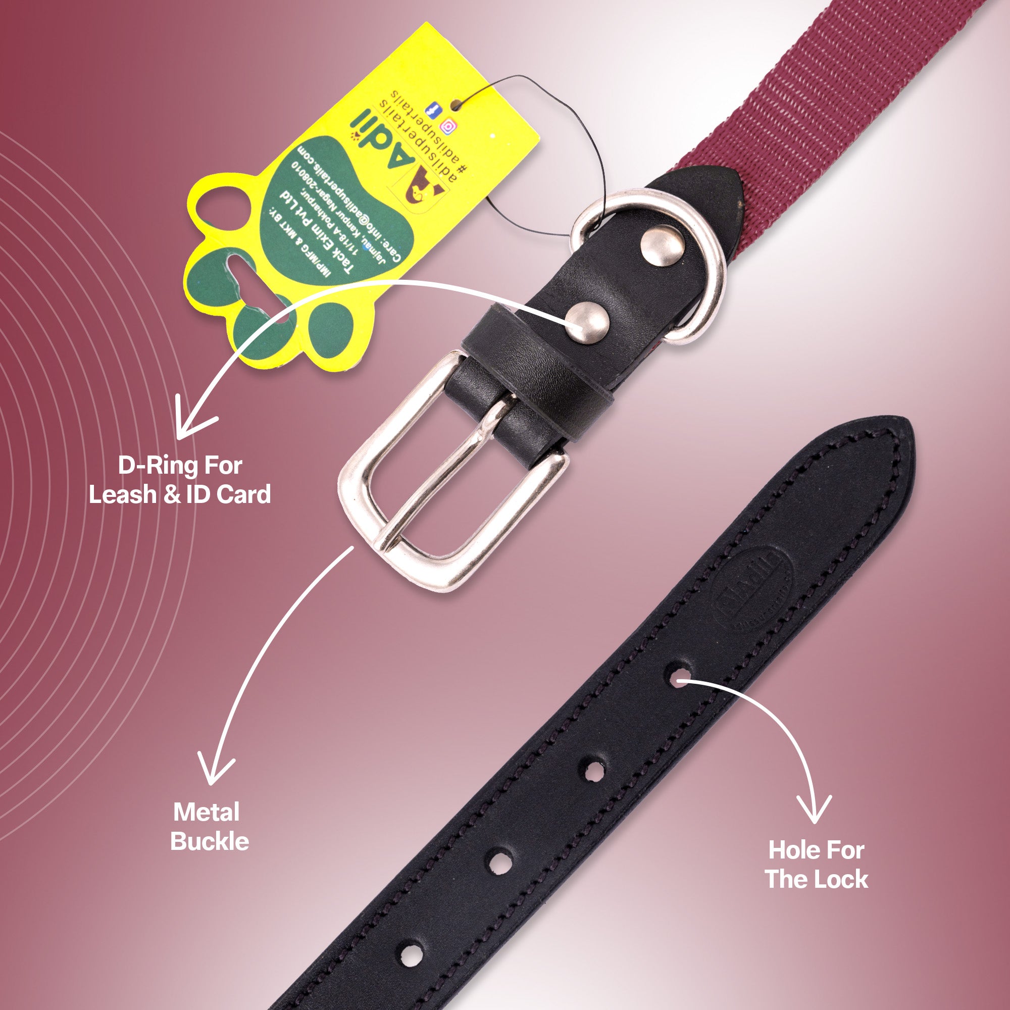 Nylon Dog Collar with Leather finish and Adjustable Metal Buckle