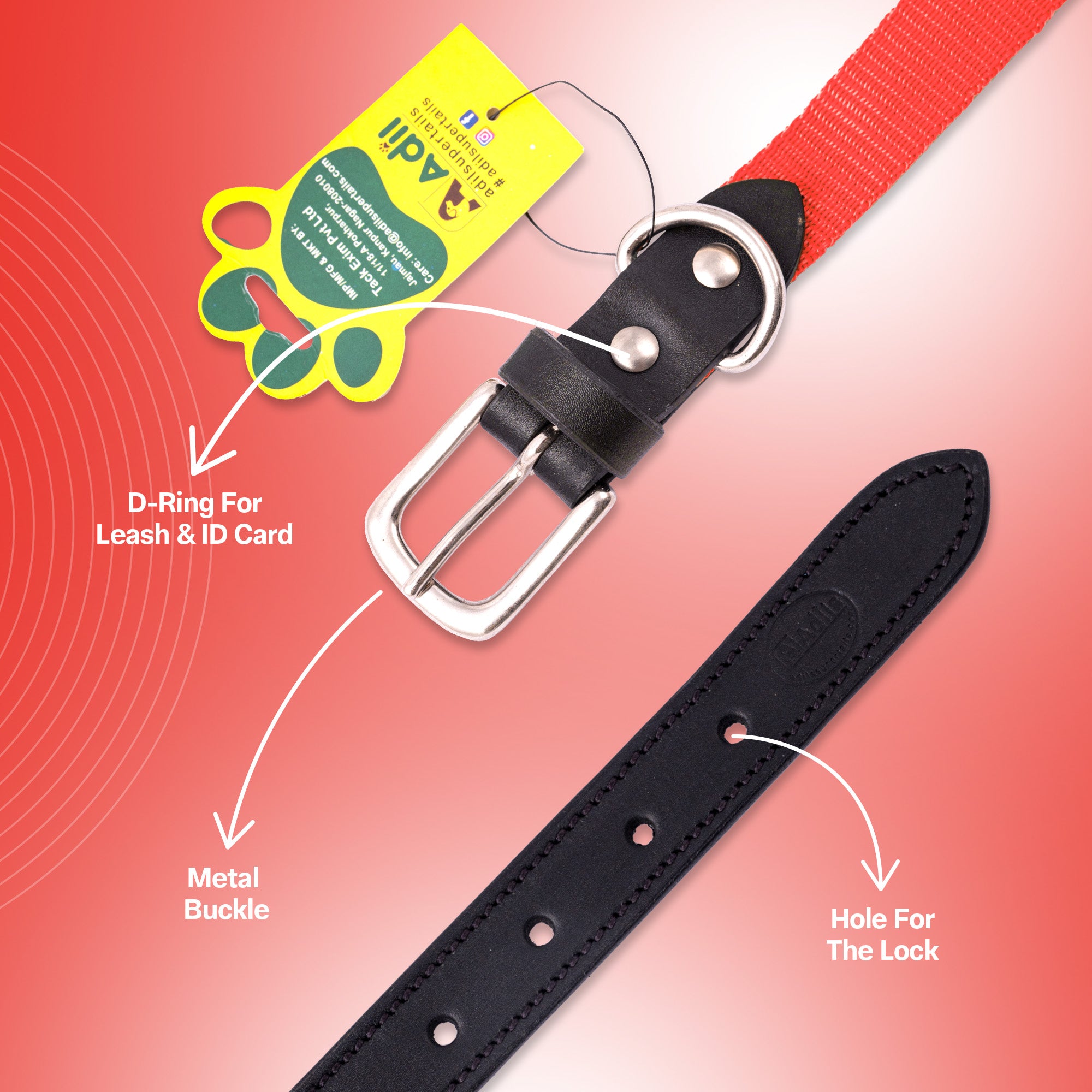 Nylon Dog Collar with Leather finish and Adjustable Metal Buckle